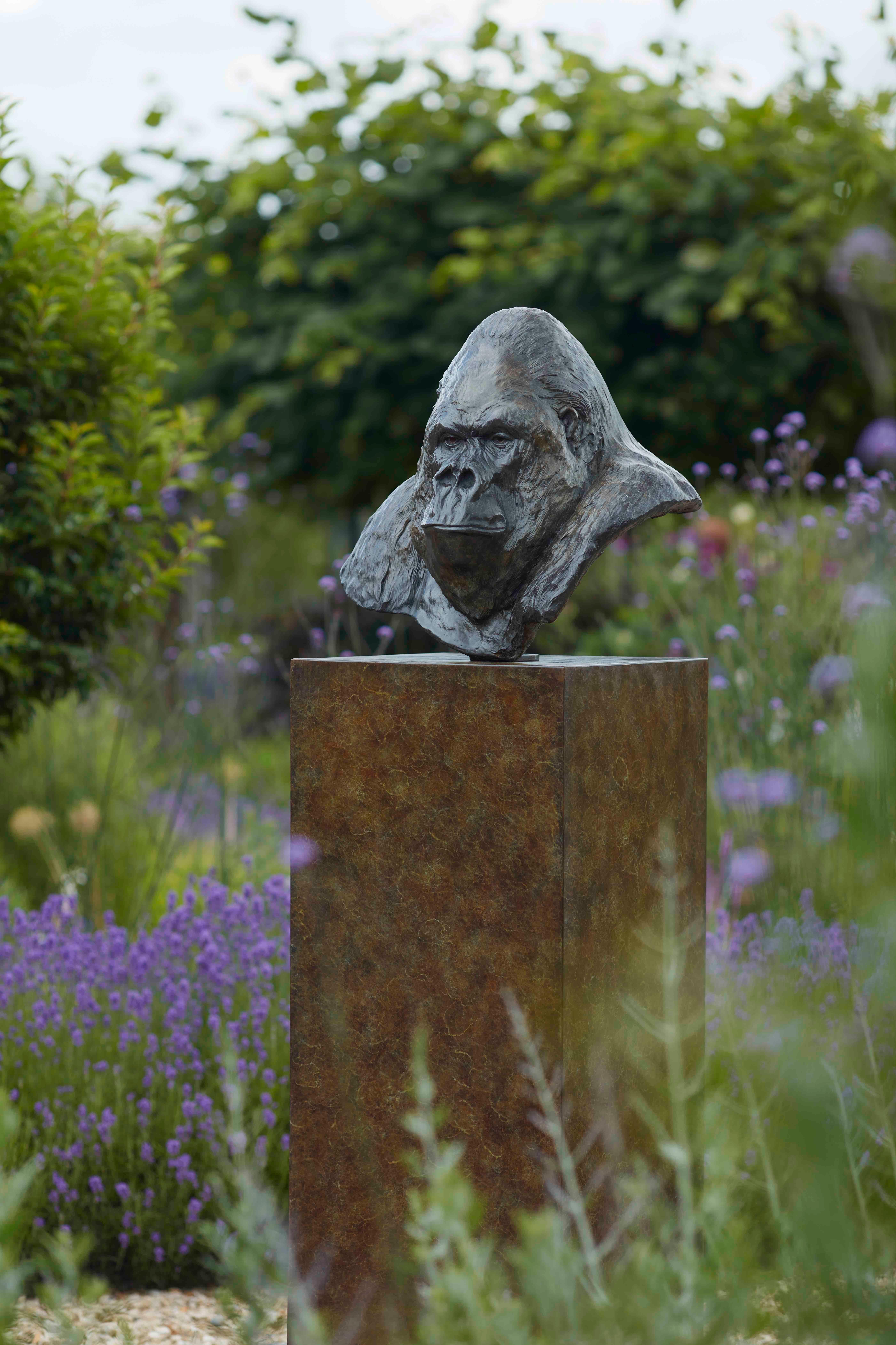 Zeitgenössische Bronzeskulptur eines Gorillas, 'Nico', im Freien, Tierwelt, Tier – Sculpture von Tobias Martin