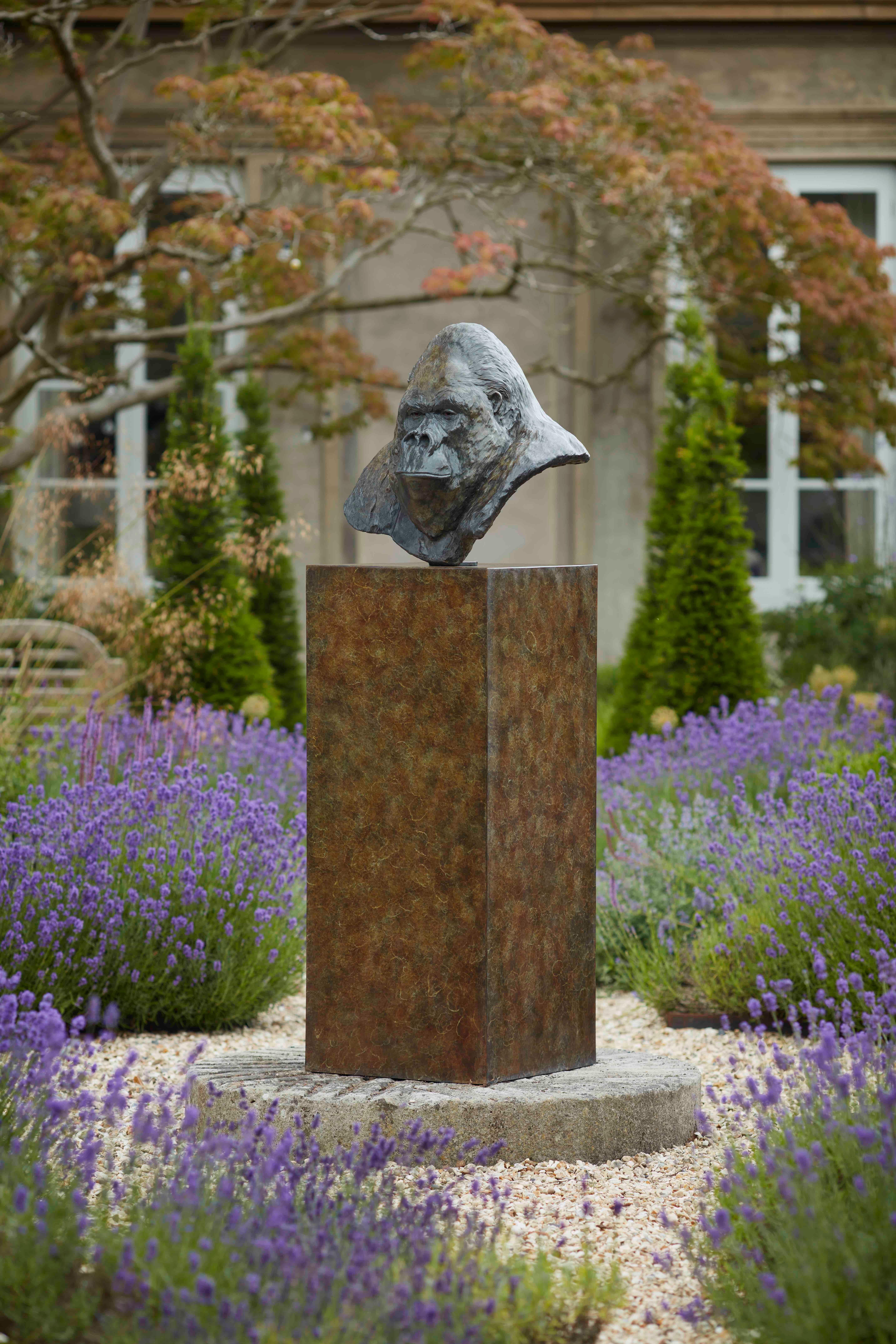 Zeitgenössische Bronzeskulptur eines Gorillas, 'Nico', im Freien, Tierwelt, Tier (Gold), Still-Life Sculpture, von Tobias Martin