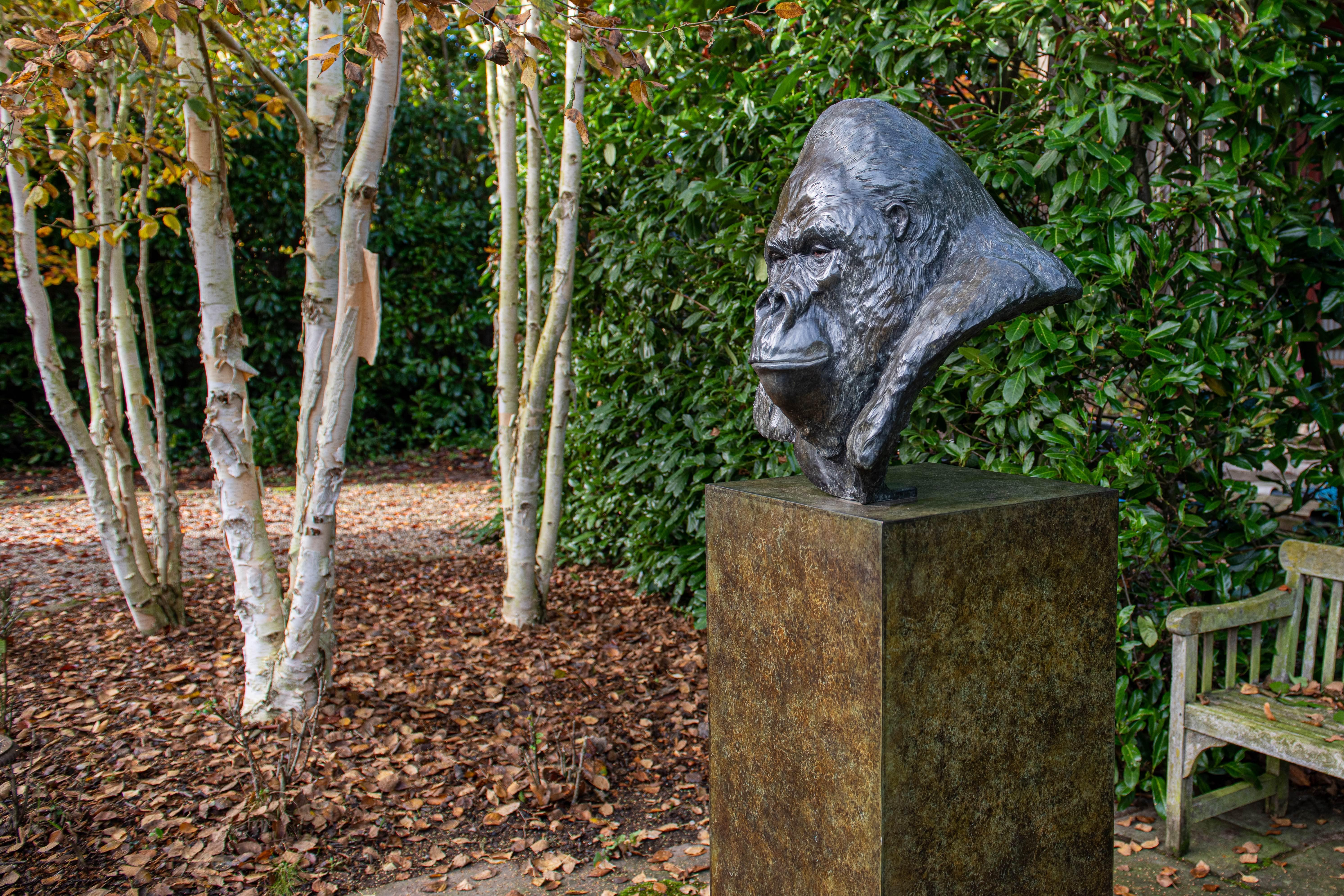 Zeitgenössische Bronzeskulptur eines Gorillas, 'Nico', im Freien, Tierwelt, Tier im Angebot 2