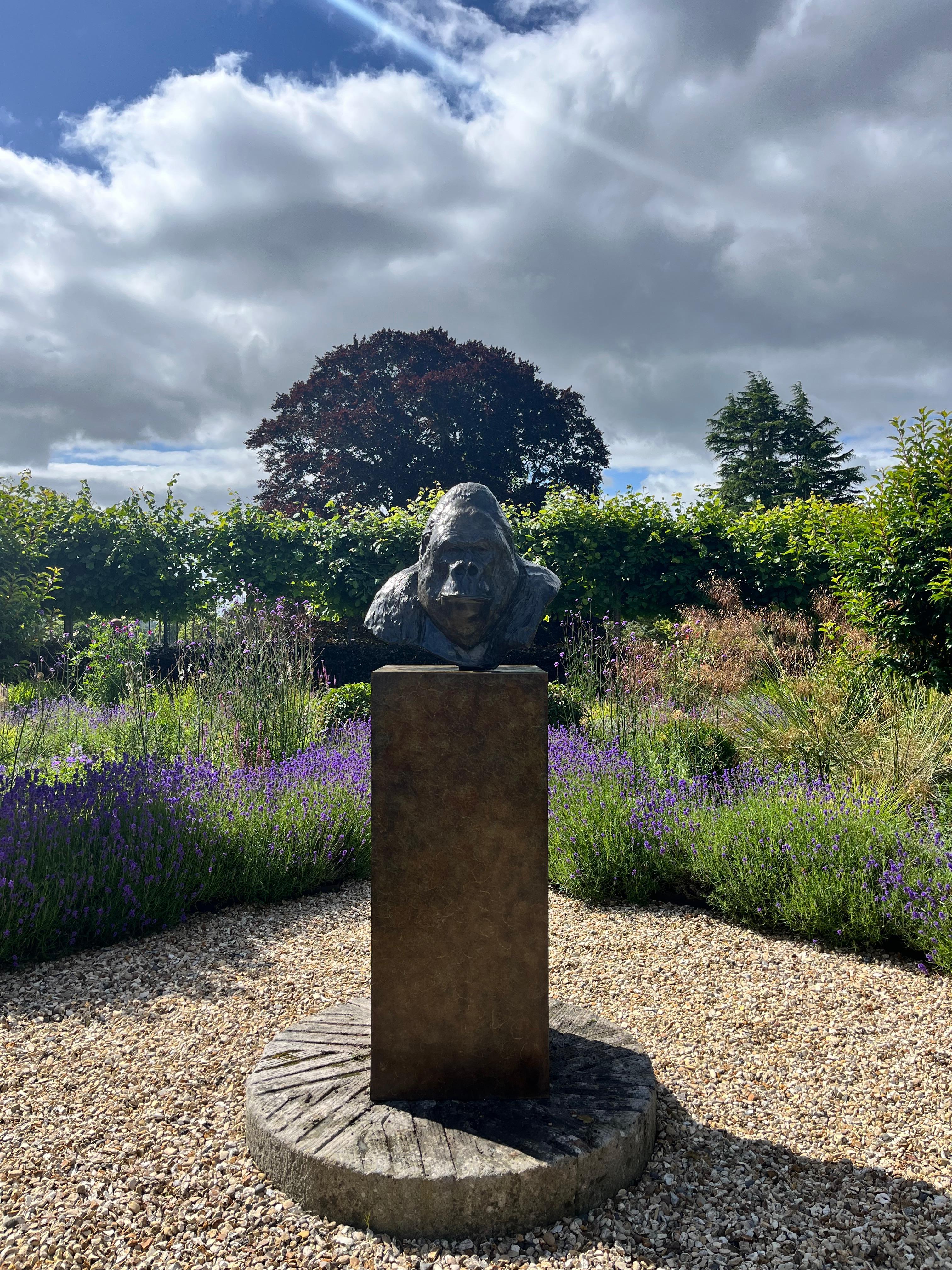 Zeitgenössische Bronzeskulptur eines Gorillas, 'Nico', im Freien, Tierwelt, Tier im Angebot 4
