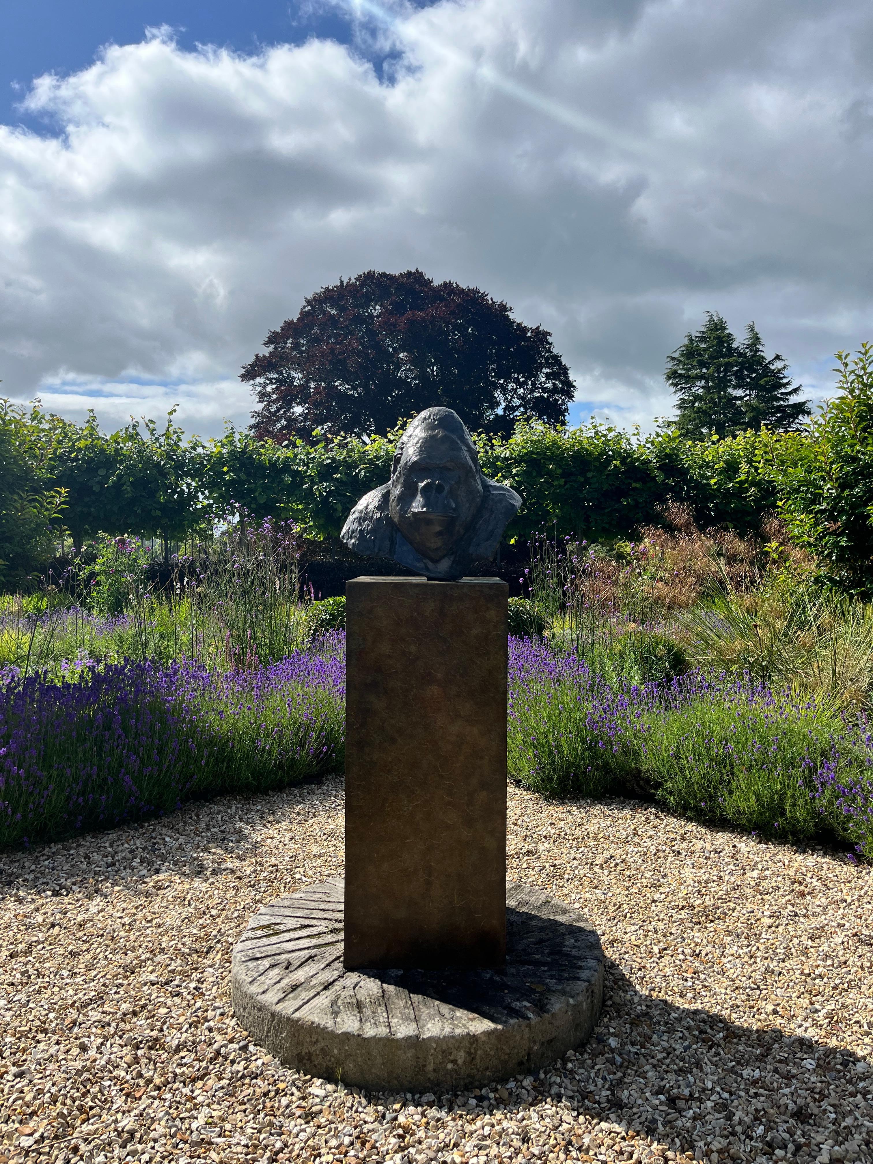 Zeitgenössische Bronzeskulptur eines Gorillas, 'Nico', im Freien, Tierwelt, Tier im Angebot 5