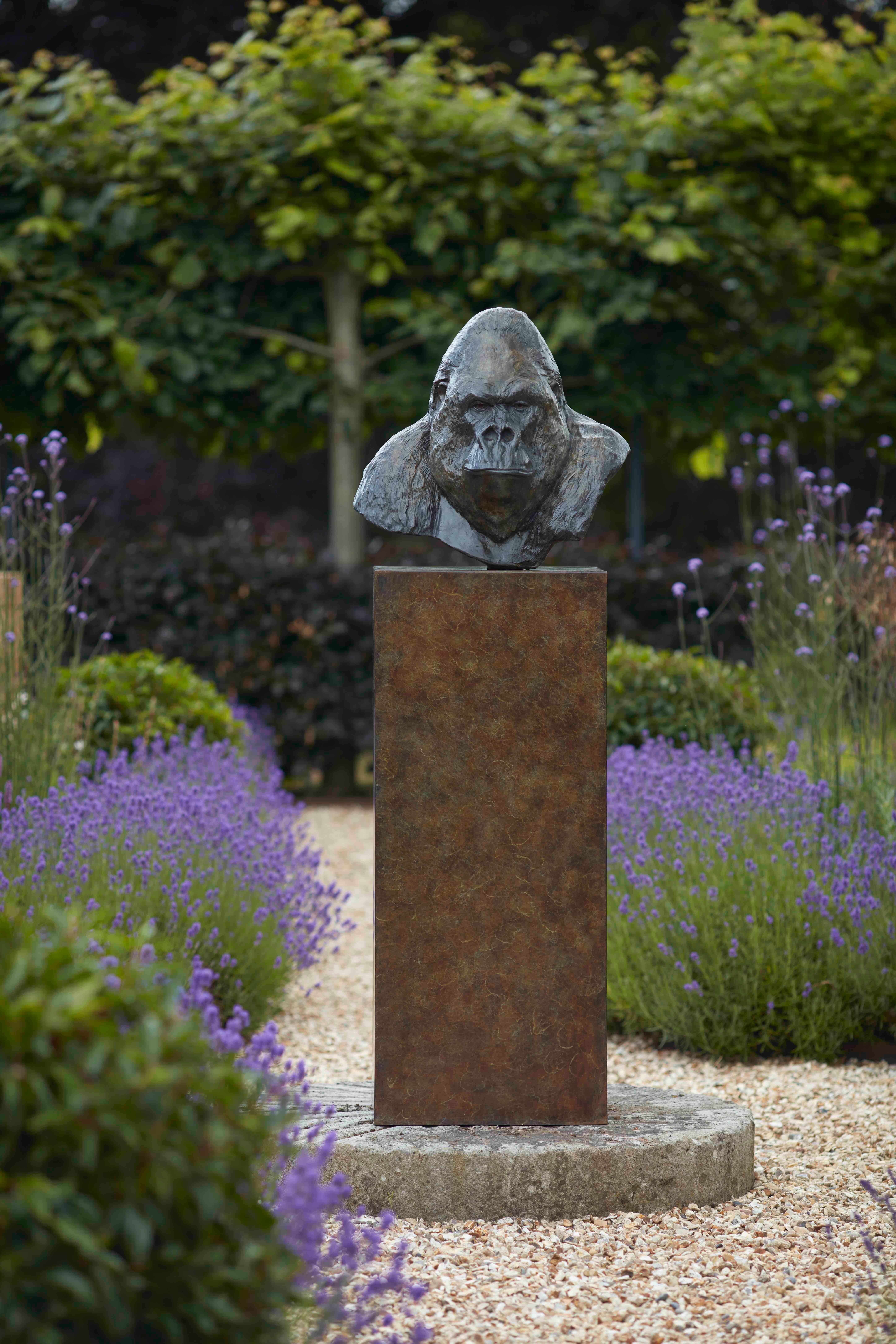 Tobias Martin Still-Life Sculpture – Zeitgenössische Bronzeskulptur eines Gorillas, 'Nico', im Freien, Tierwelt, Tier