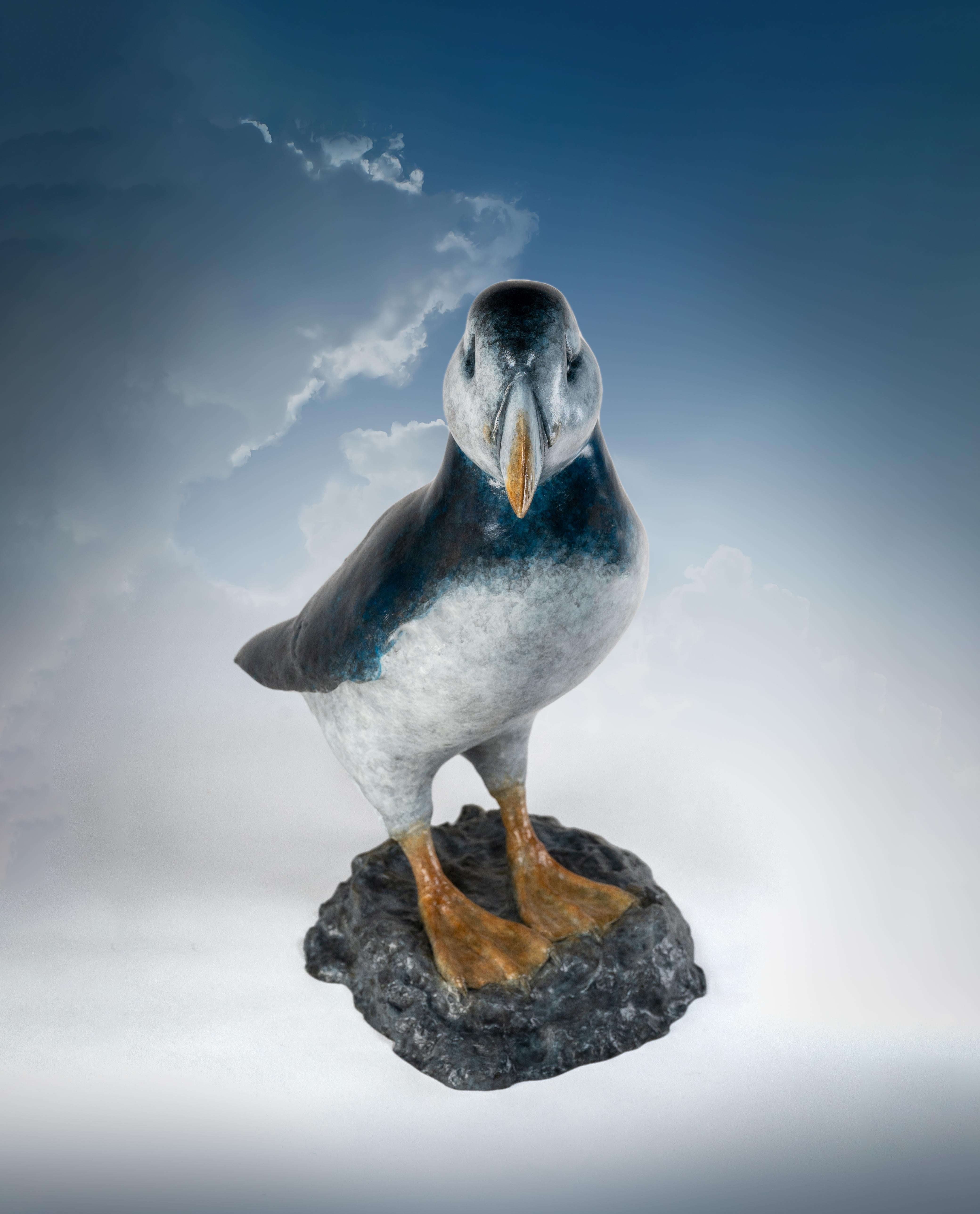 Zeitgenössische Bronze-Skulptur eines Papageientauchers auf einem Felsen, Seevogel, blau-weiß im Angebot 8