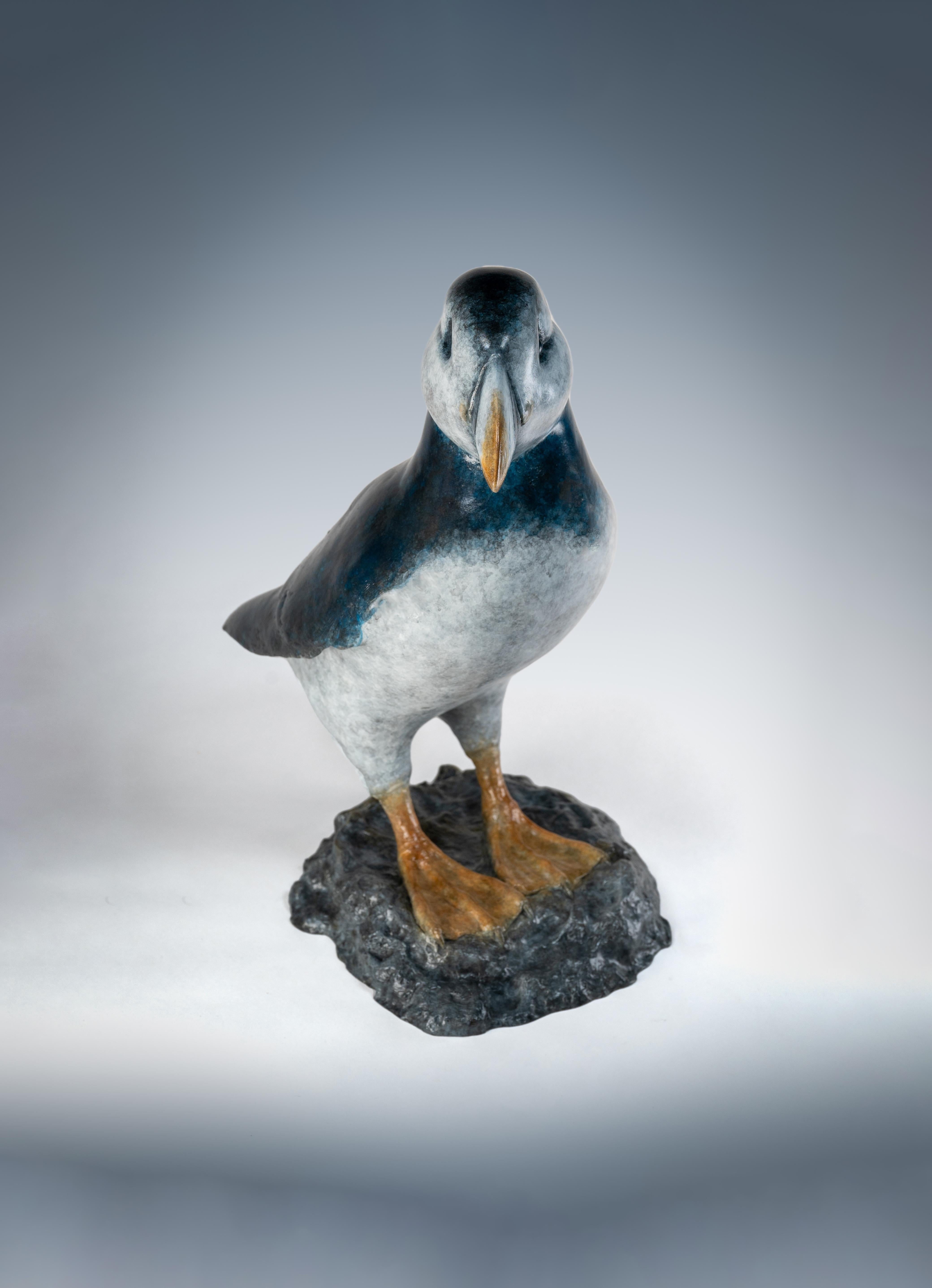 Zeitgenössische Bronze-Skulptur eines Papageientauchers auf einem Felsen, Seevogel, blau-weiß im Angebot 9