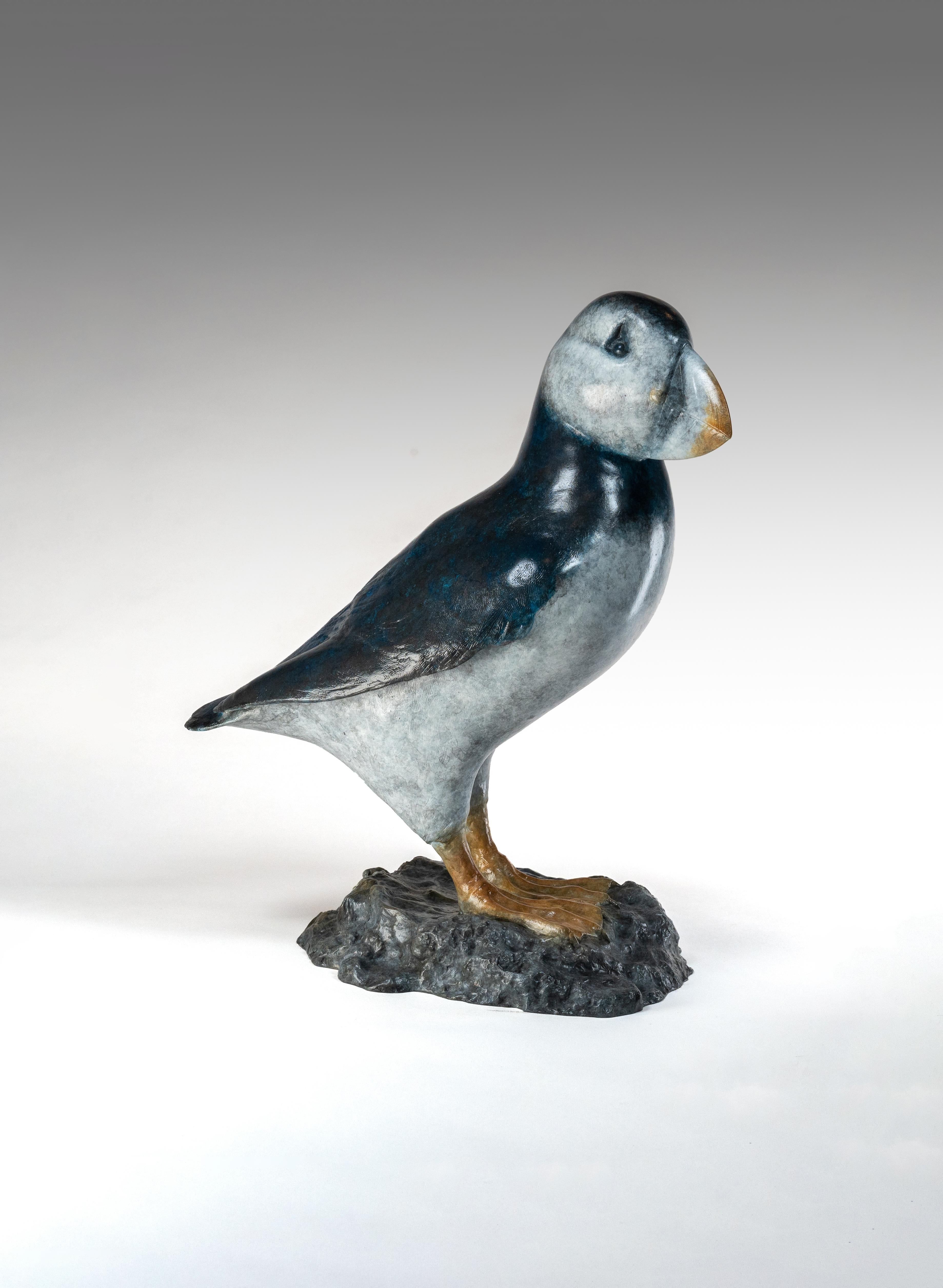 Zeitgenössische Bronze-Skulptur eines Papageientauchers auf einem Felsen, Seevogel, blau-weiß (Gold), Still-Life Sculpture, von Tobias Martin