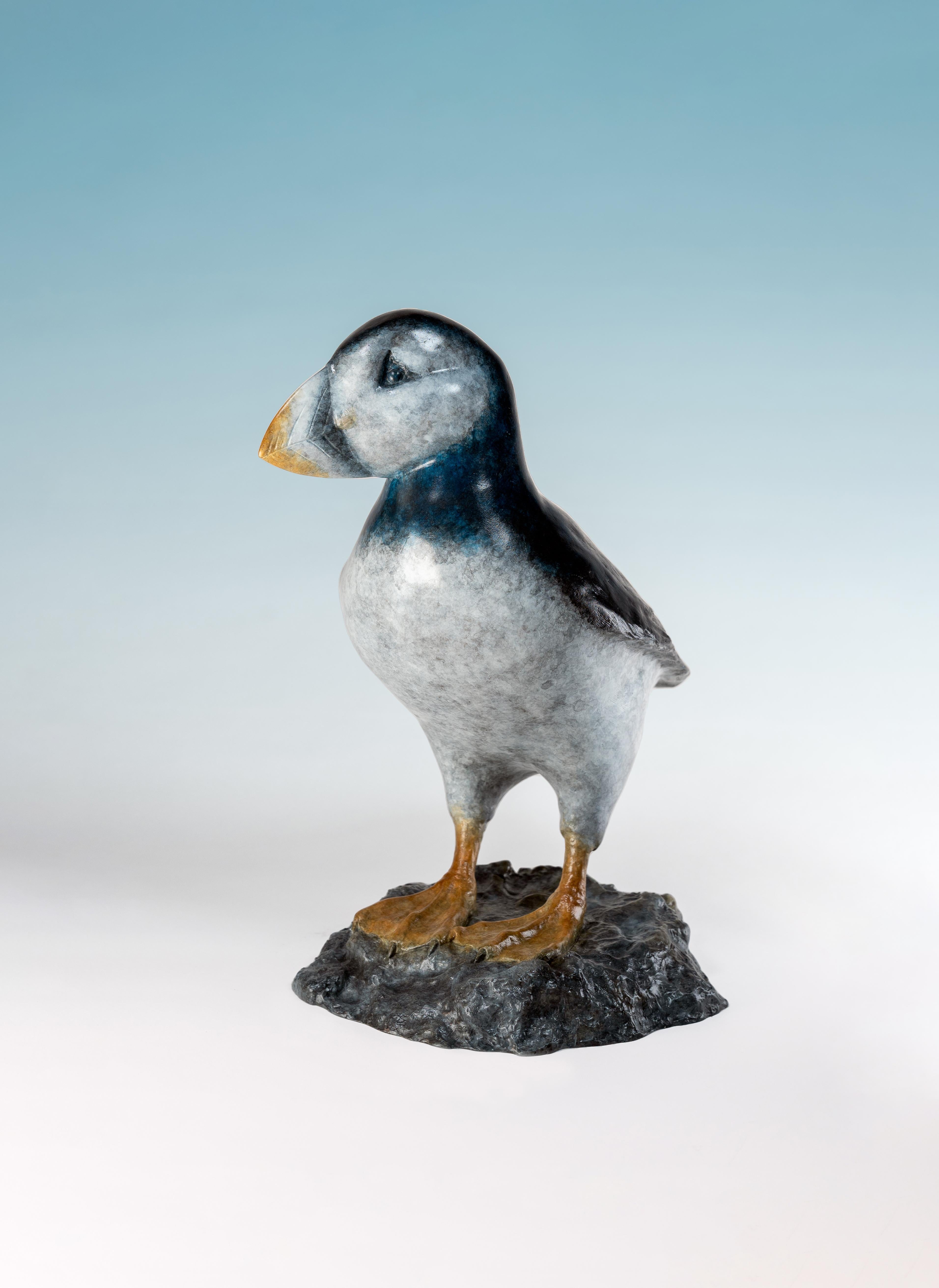 Scultura contemporanea in bronzo di un pulcinella di mare su una roccia, uccello marino, blu e bianco