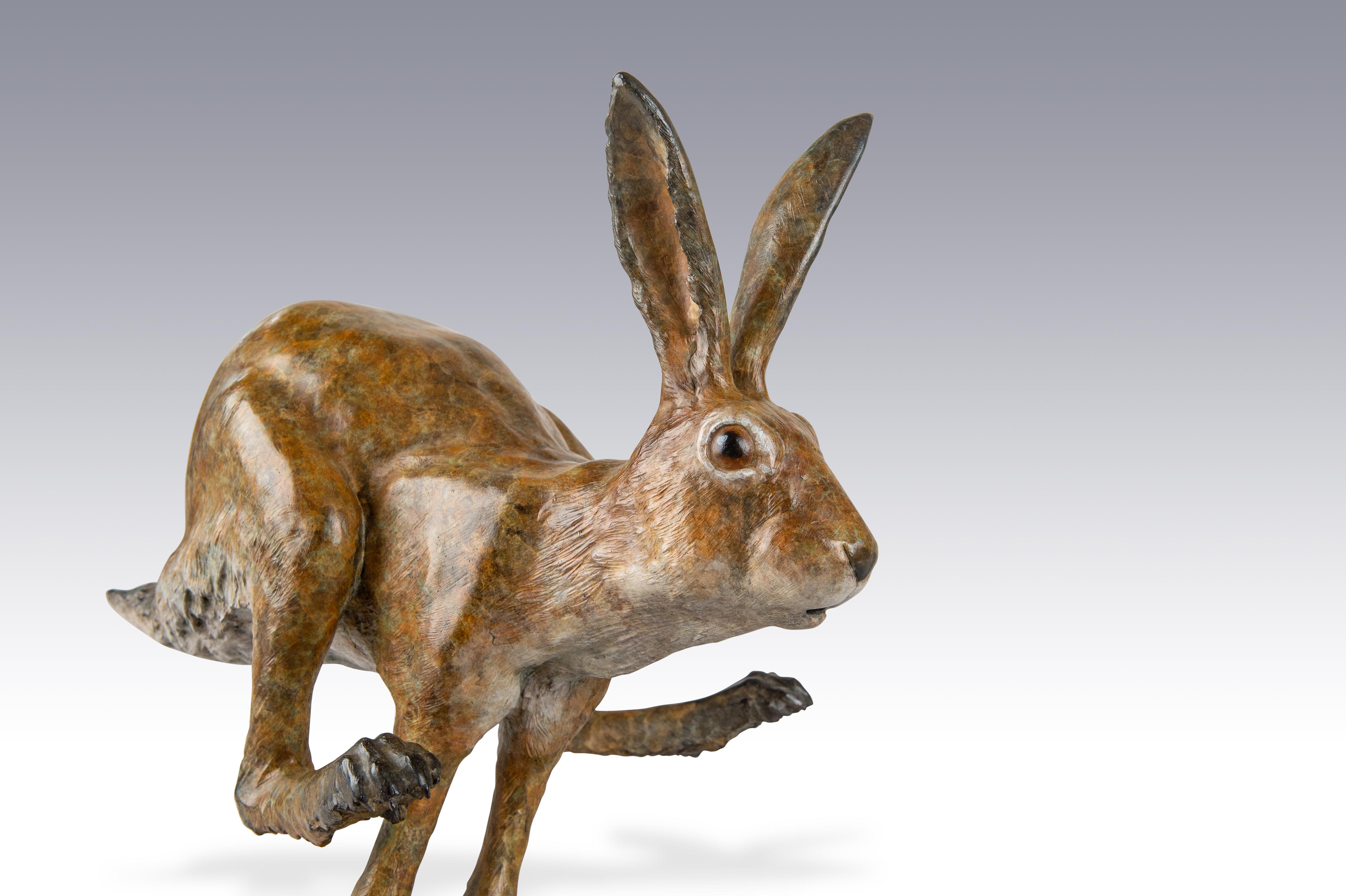 Sculpture contemporaine en bronze d'un lièvre ou d'un lapin de garenne sautant Jack en vente 9