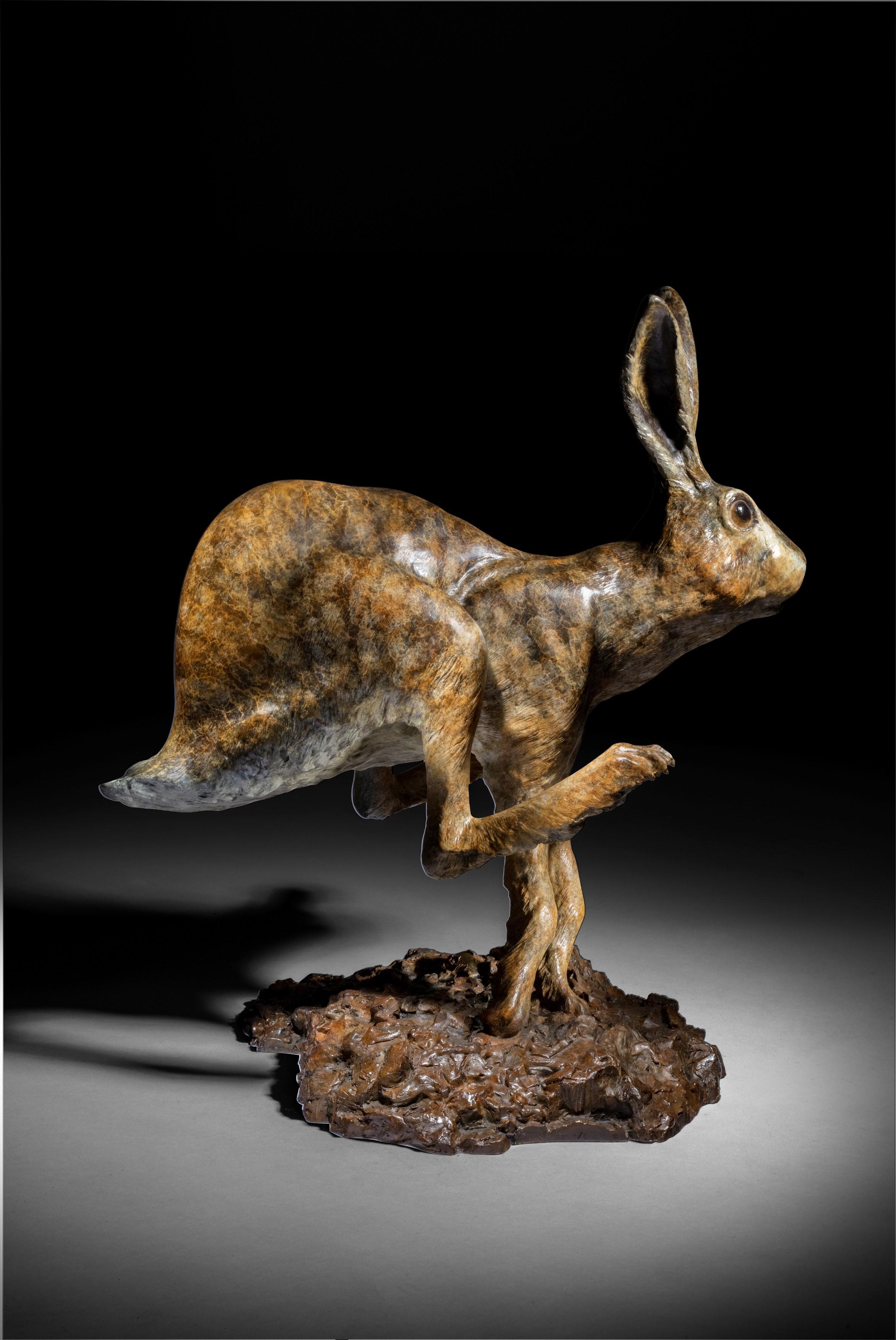 Sculpture contemporaine en bronze d'un lièvre ou d'un lapin de garenne sautant Jack en vente 11
