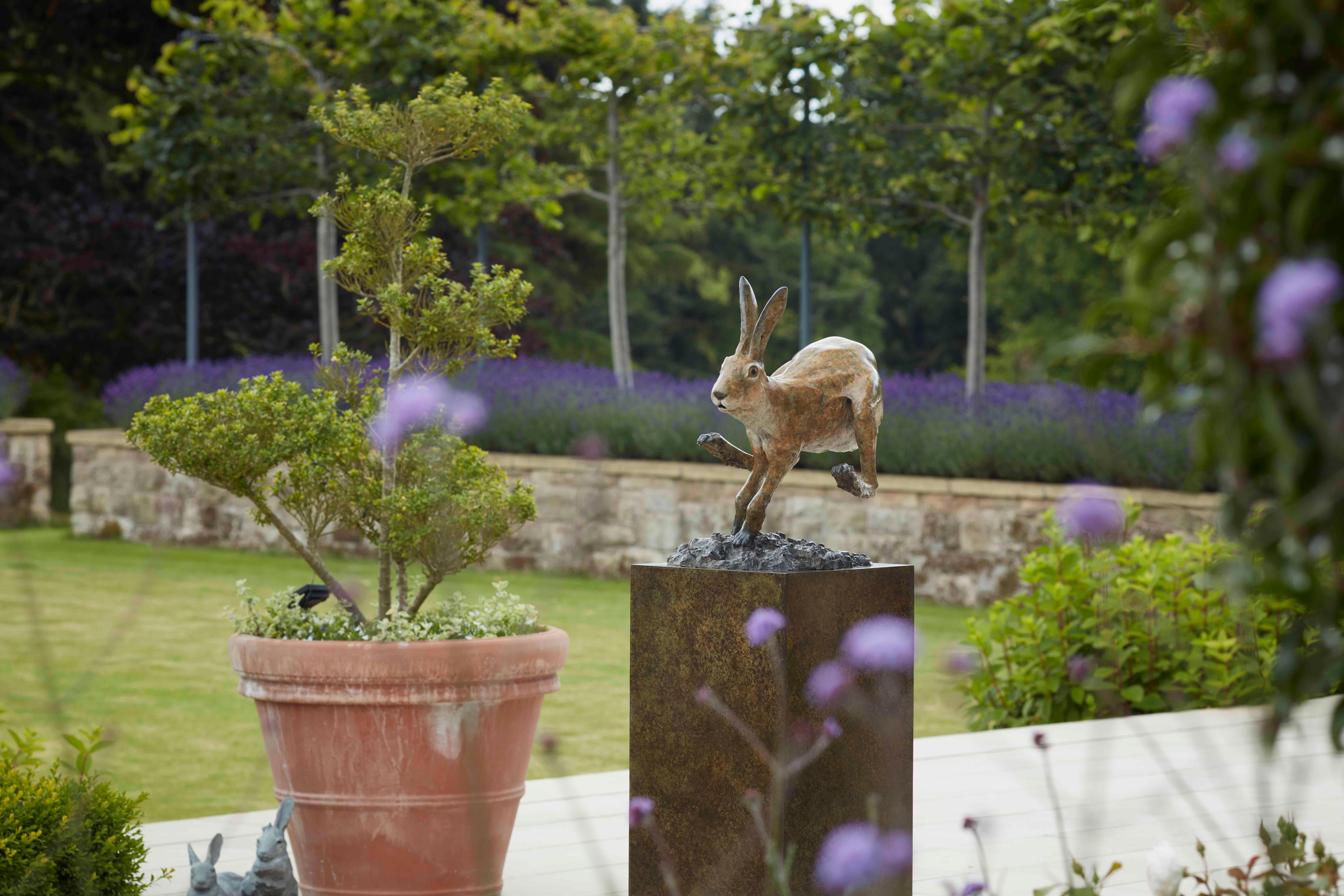 Edition de 12 
La sculpture en bronze Jumping Jack de Tobias Martin, qui représente un lièvre en train de courir, est une célébration dynamique de la vitesse, de l'agilité et de l'esprit sauvage. Coulée dans le bronze et patinée dans des tons bruns