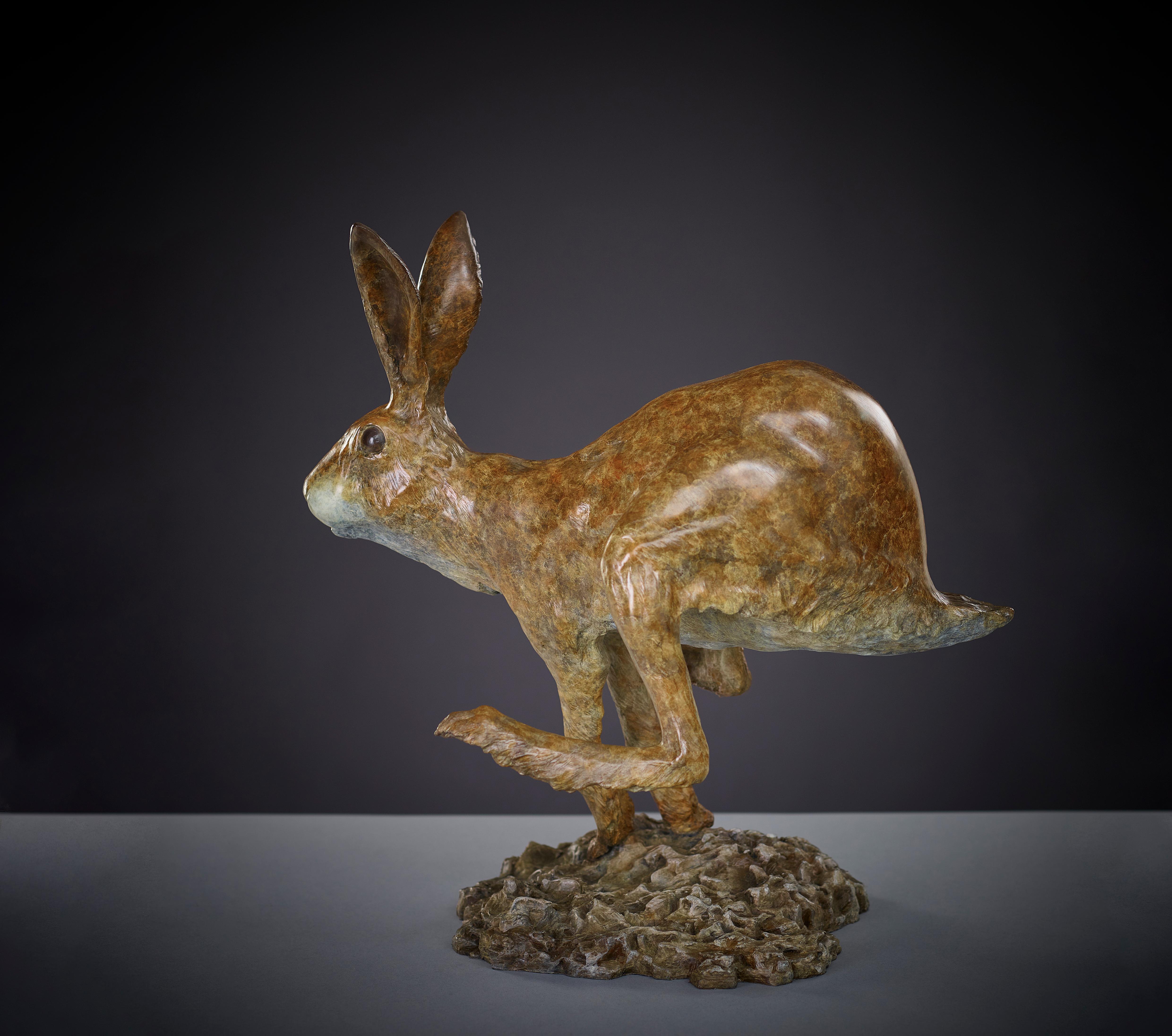 Sculpture contemporaine en bronze d'un lièvre ou d'un lapin de garenne sautant Jack en vente 2