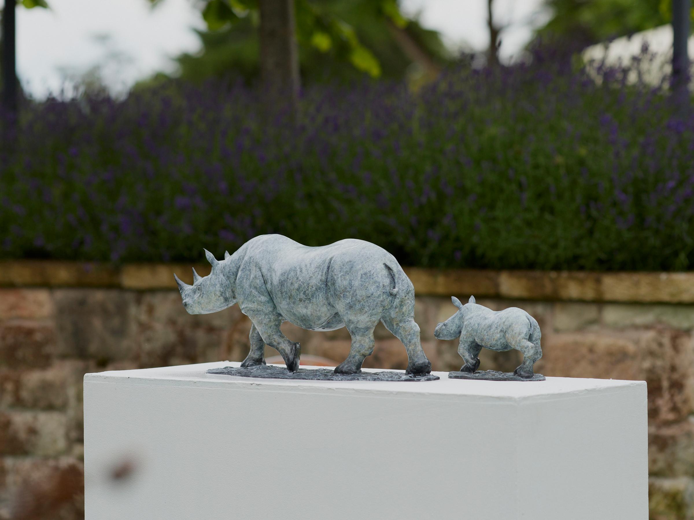 Auflage von 12 
Nashörner