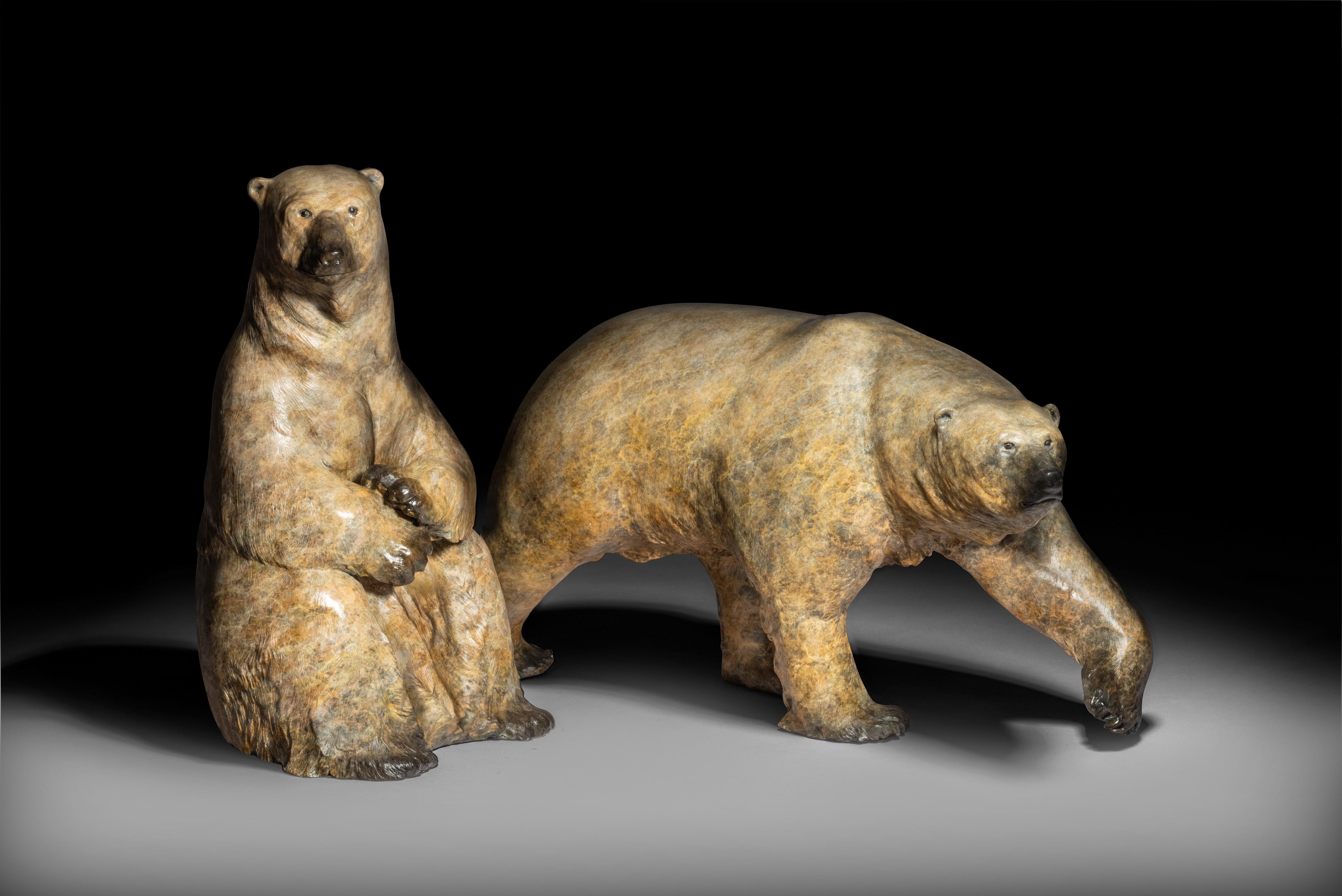 Scultura contemporanea in bronzo di un orso polare bianco 