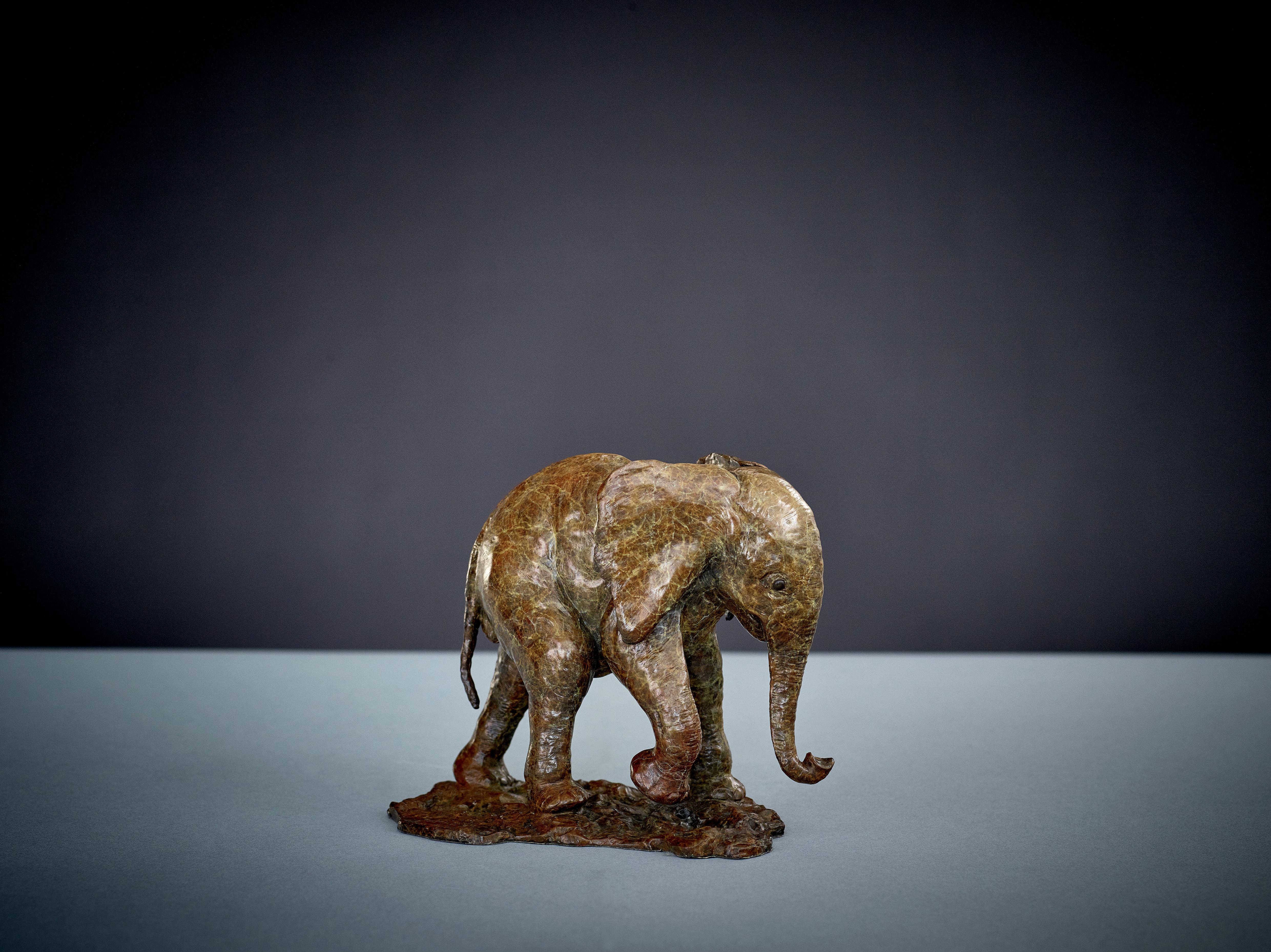 Escultura Contemporánea de Bronce de Fauna Salvaje 'Bebé Elefante' de pequeño elefante africano - Sculpture de Tobias Martin