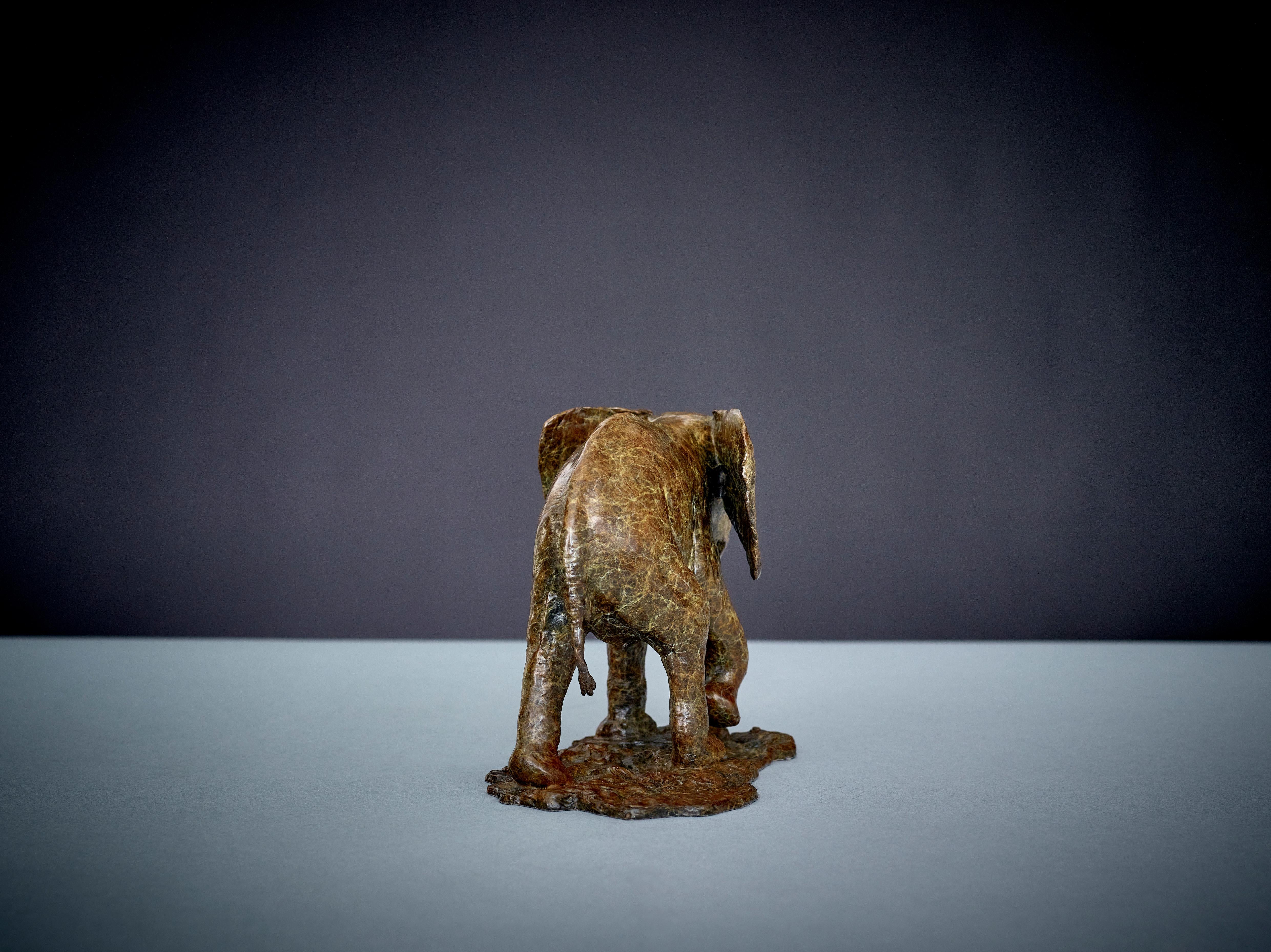 Escultura Contemporánea de Bronce de Fauna Salvaje 'Bebé Elefante' de pequeño elefante africano - Still-Life Sculpture Oro de Tobias Martin