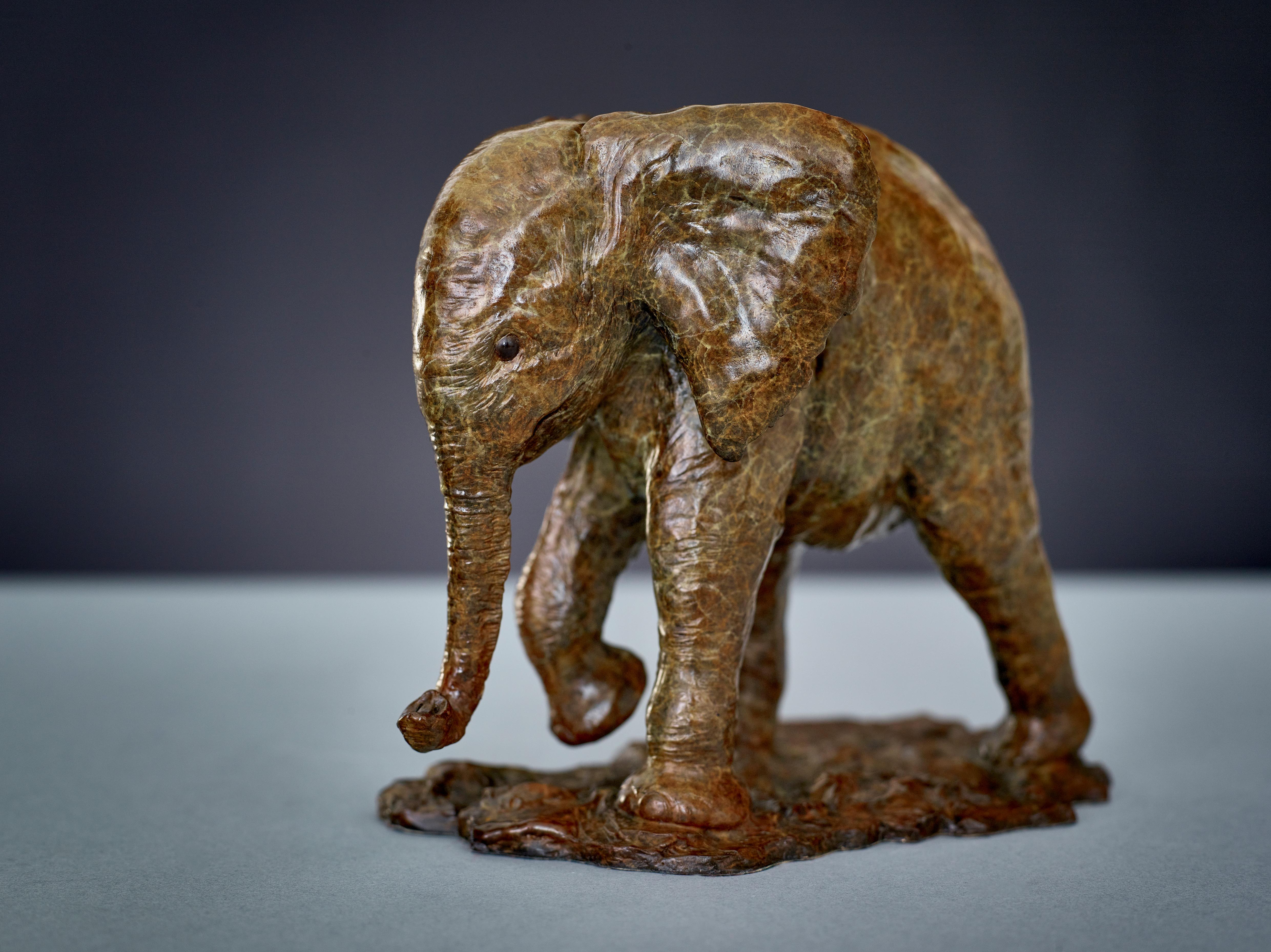 Sculpture en bronze contemporaine d'un petit éléphant d'Afrique 'Baby Elephant'.