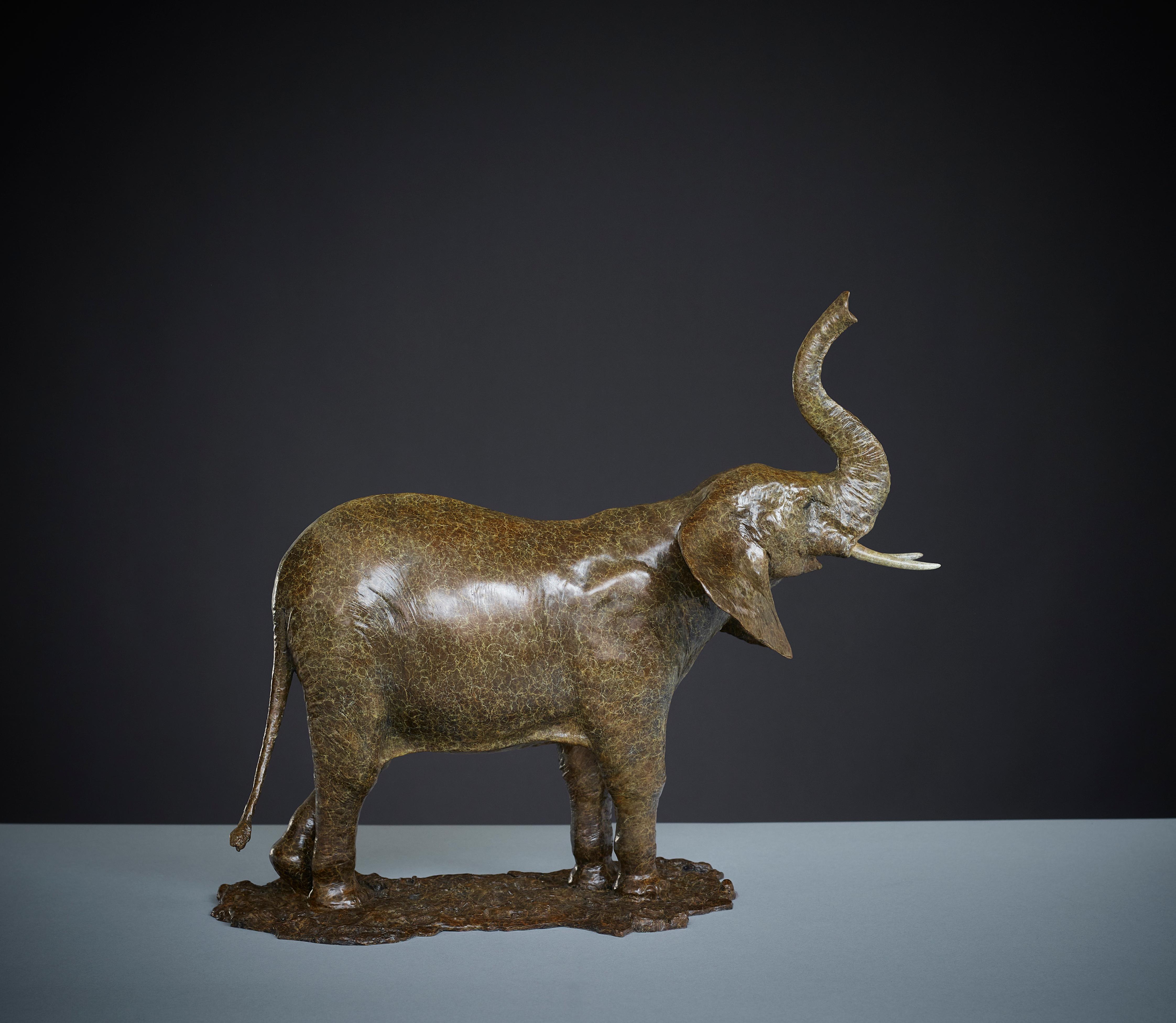 'Elephant' Bronze Wildlife contemporary sculpture of an African Elephant. Brown - Sculpture by Tobias Martin