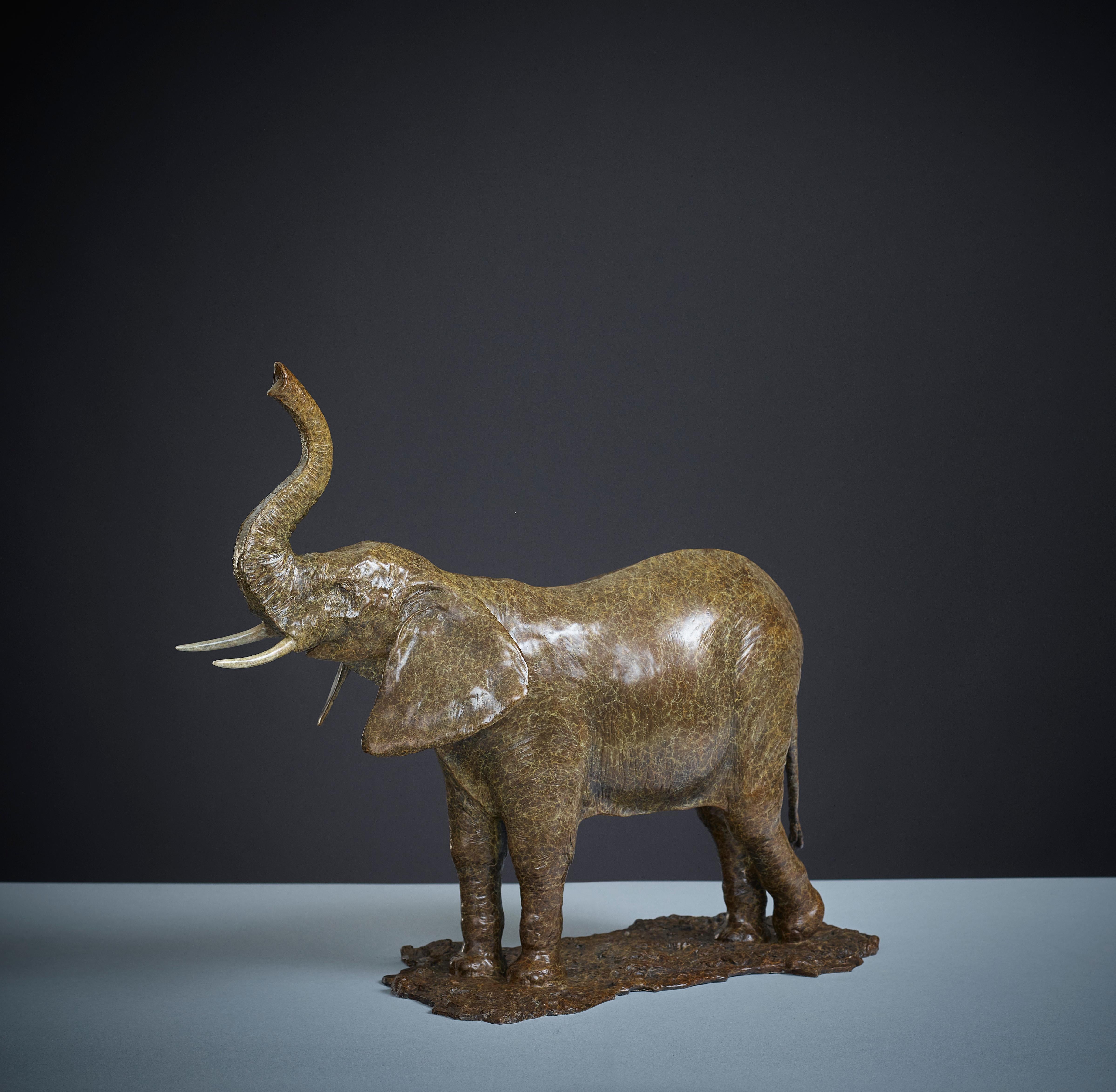 l'éléphant de Tobias Martin est une sculpture animalière en bronze massif.

Tobias Martin est né en 1972 dans le Wiltshire, à 12 miles de Stonehenge. Influencées par son éducation rurale idyllique et les forces de la nature et de la magie qui ont