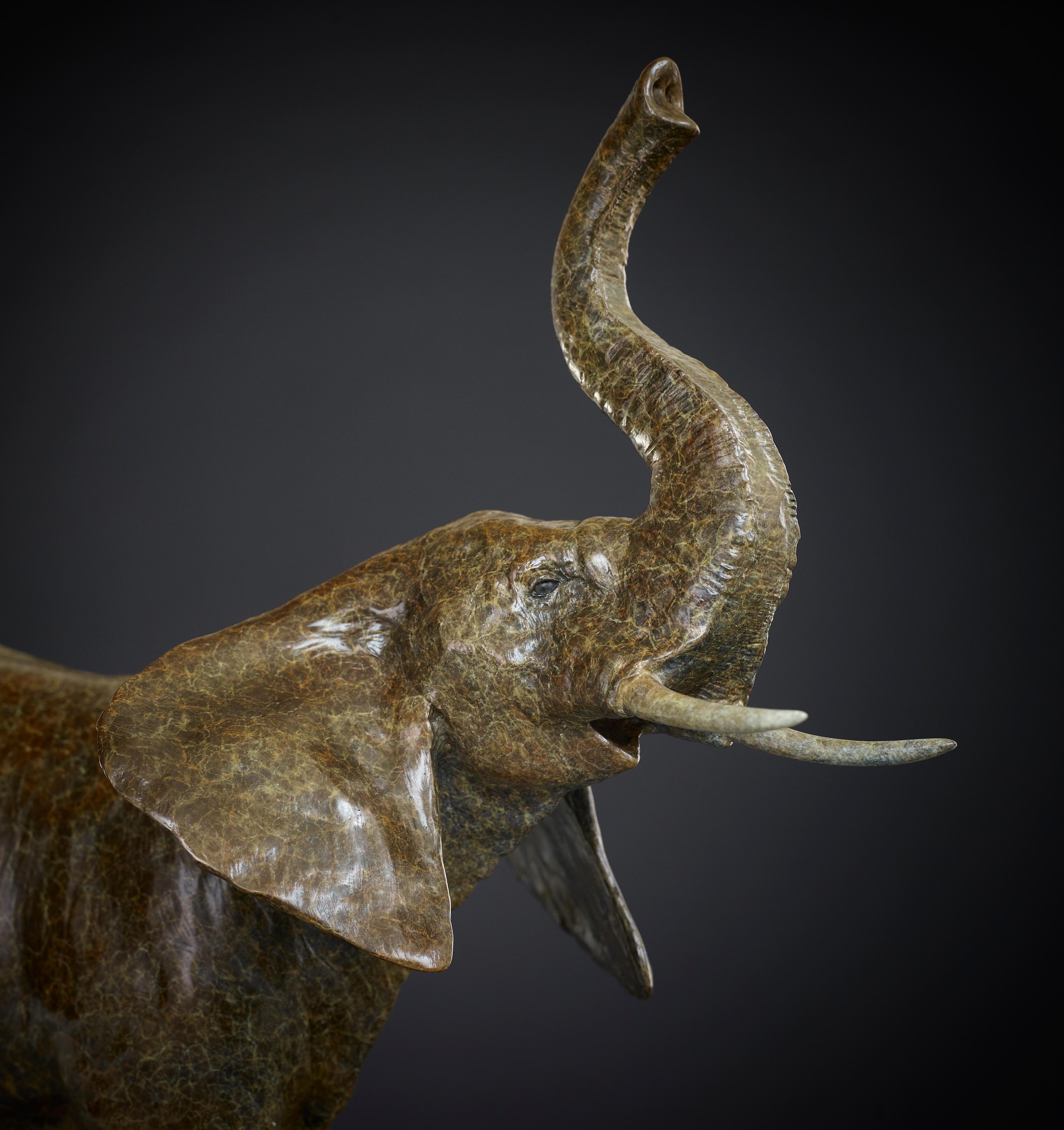 Sculpture contemporaine d'éléphant africain en bronze « Elephant ». Marron en vente 1