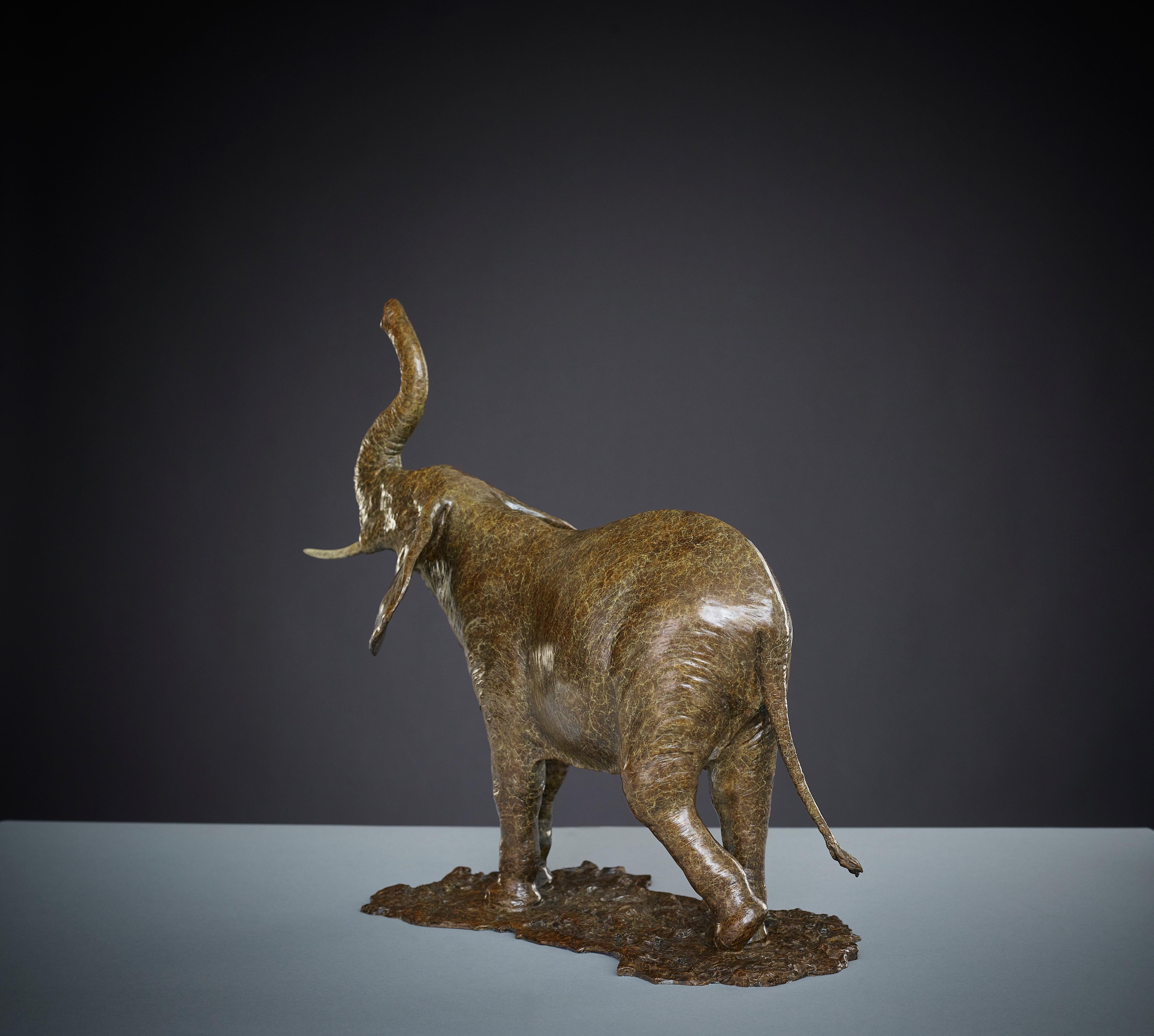 Sculpture contemporaine d'éléphant africain en bronze « Elephant ». Marron en vente 2