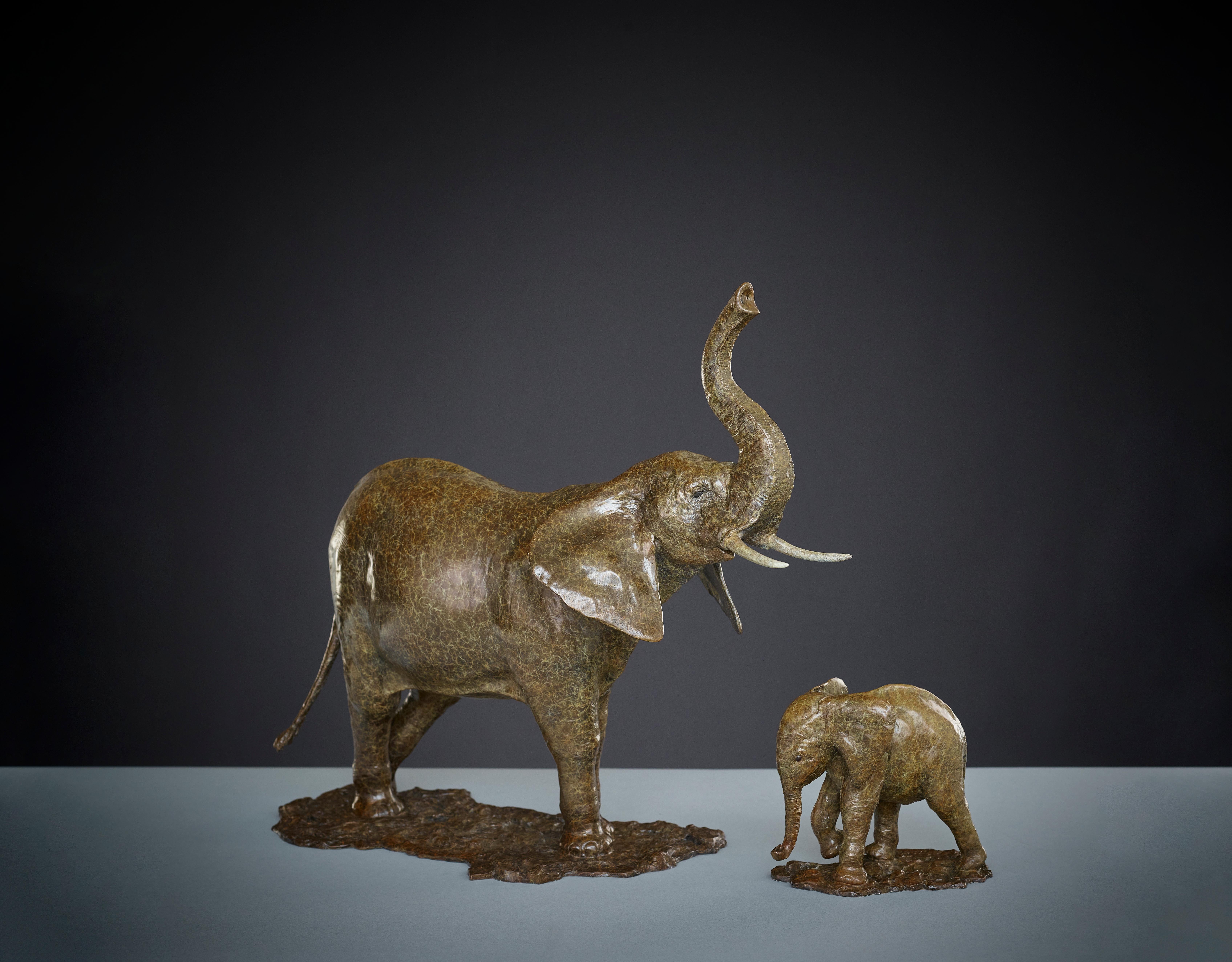 'Elephant' Bronze Wildlife contemporary sculpture of an African Elephant. Brown - Gold Figurative Sculpture by Tobias Martin