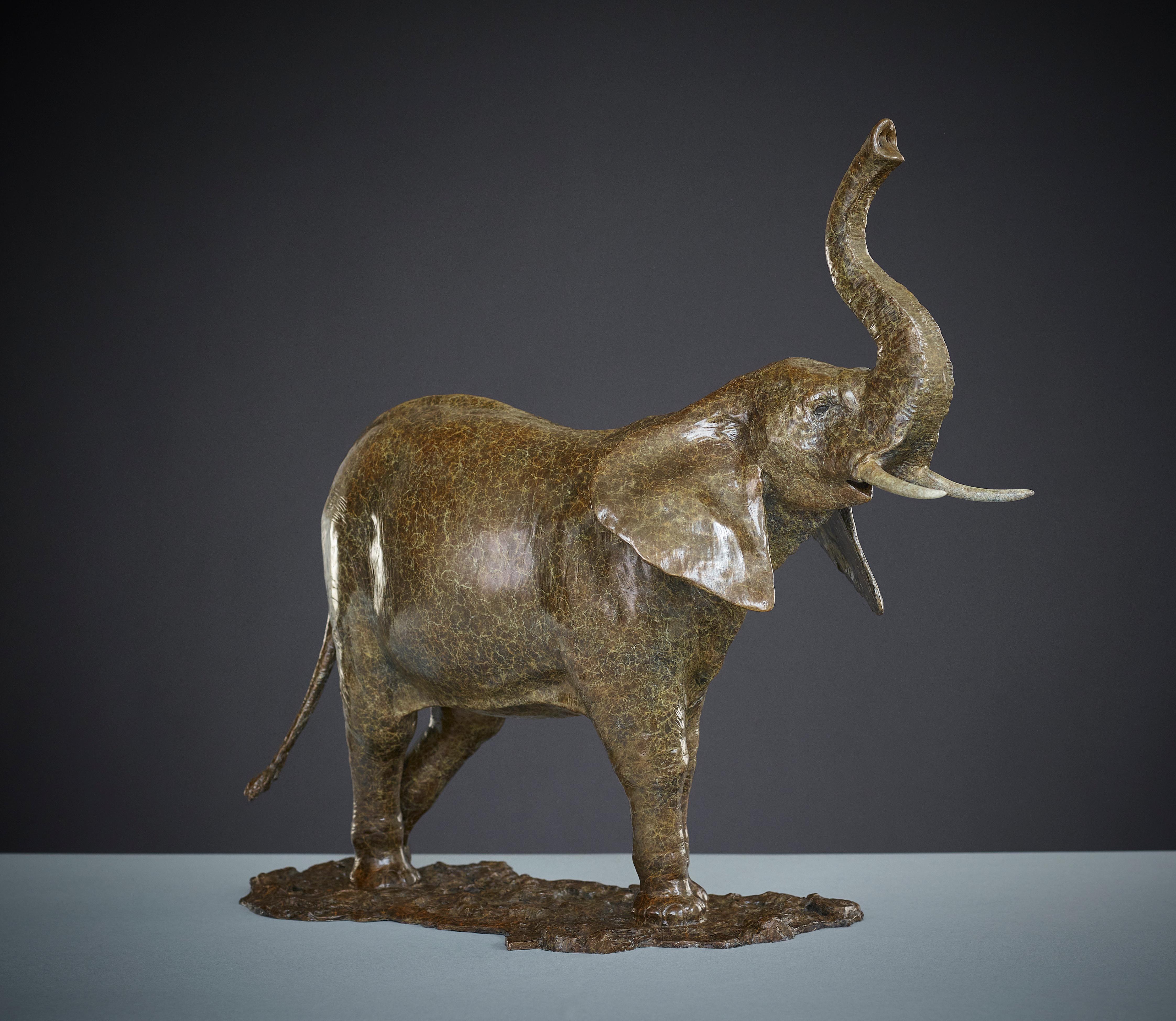 „Elephant“ Zeitgenössische Skulptur eines afrikanischen Elefanten aus Bronze. Braun
