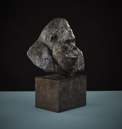 'Nico Jnr' Contemporary Bronze Sculpture of a Gorilla on a bronze plinth