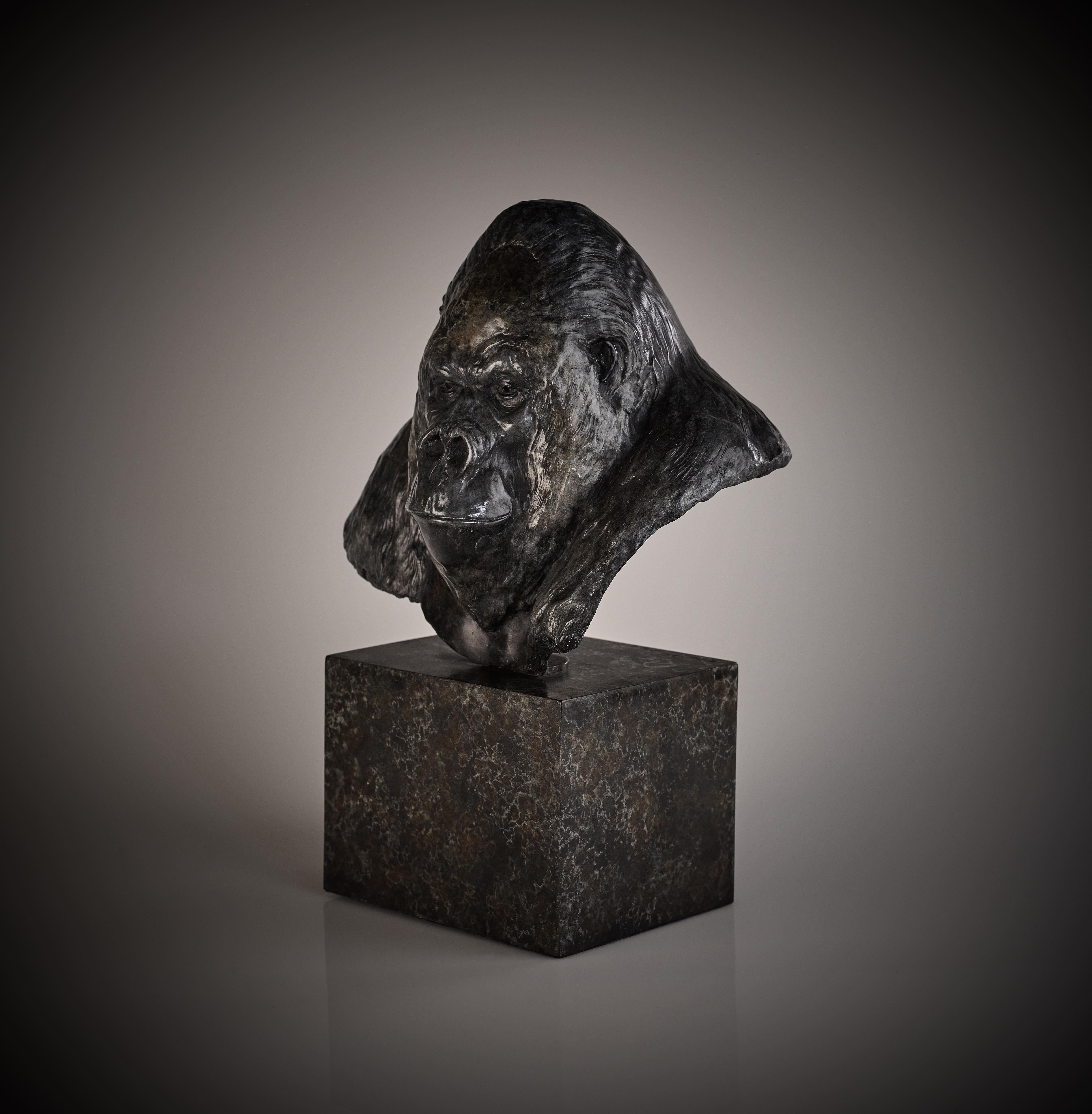 Sculpture contemporaine en bronze d'une Gorilla sur un socle en bronze 'Nico Jnr'  en vente 2