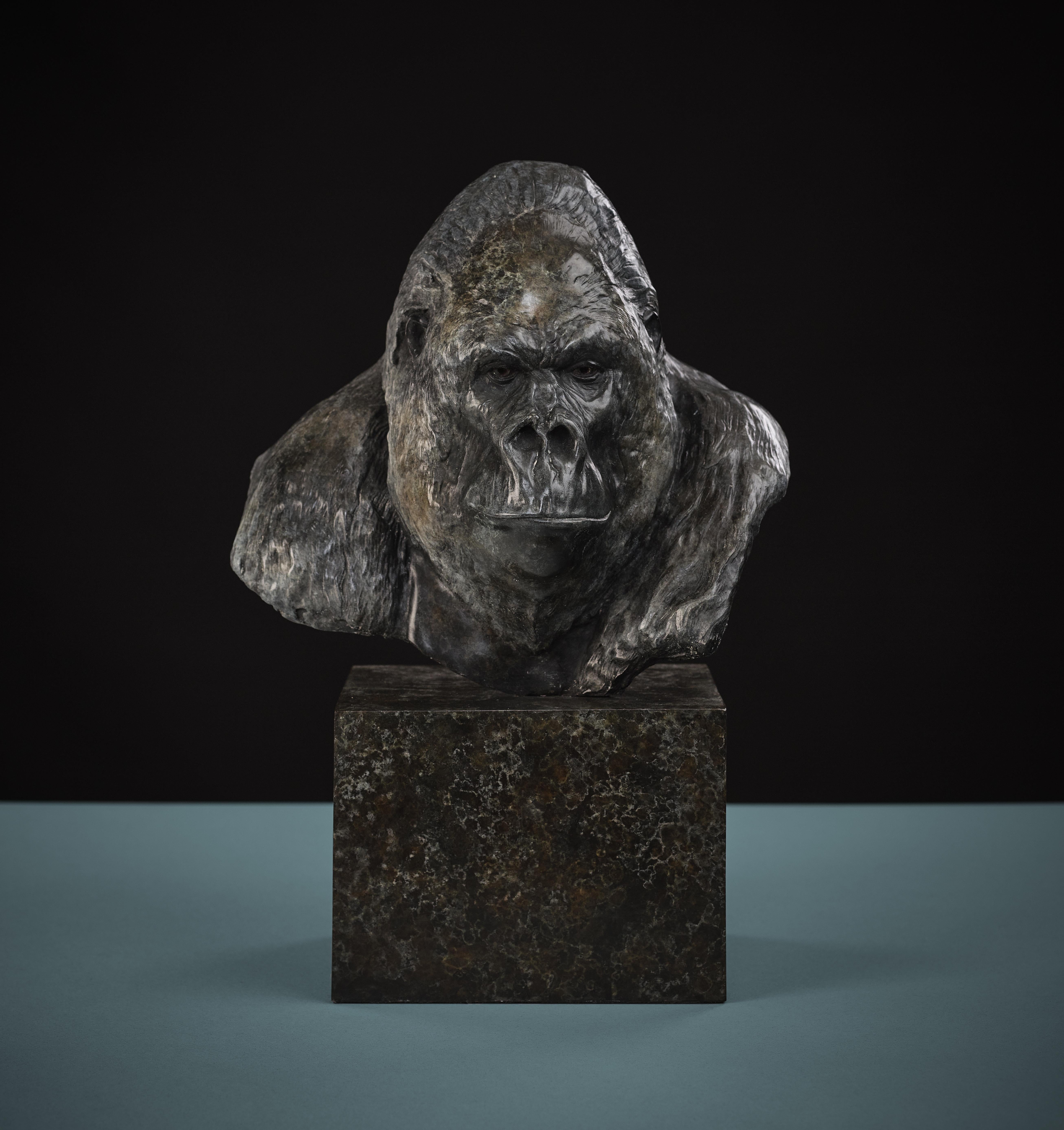 Figurative Sculpture Tobias Martin - Sculpture contemporaine en bronze d'une Gorilla sur un socle en bronze 'Nico Jnr' 