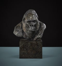 'Nico Jnr' Contemporary Bronze Sculpture of a Gorilla on a bronze plinth 