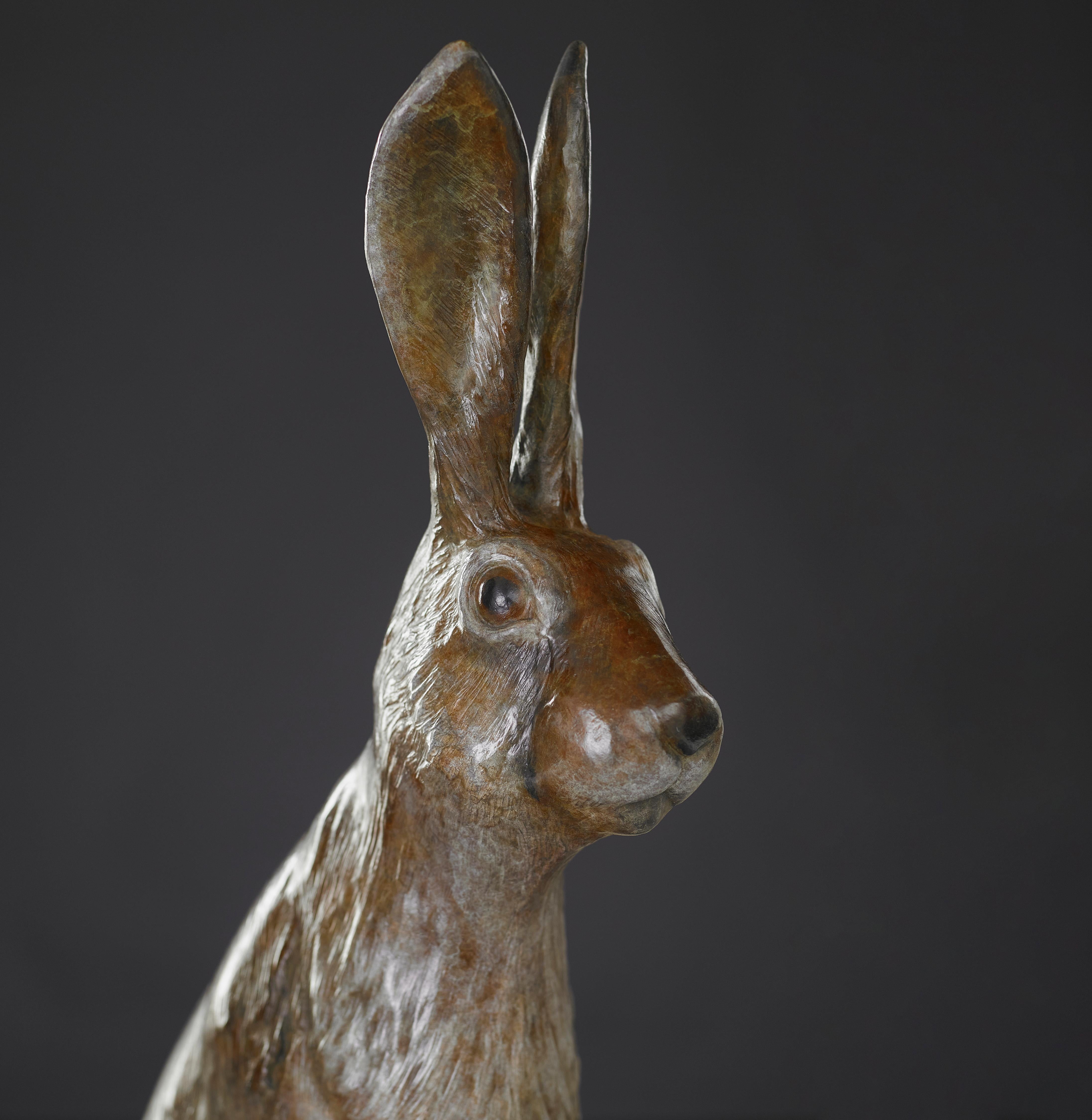 Scultura in bronzo contemporanea Sir Humphrey di lepre, coniglio, animali selvatici - Sculpture Contemporaneo di Tobias Martin