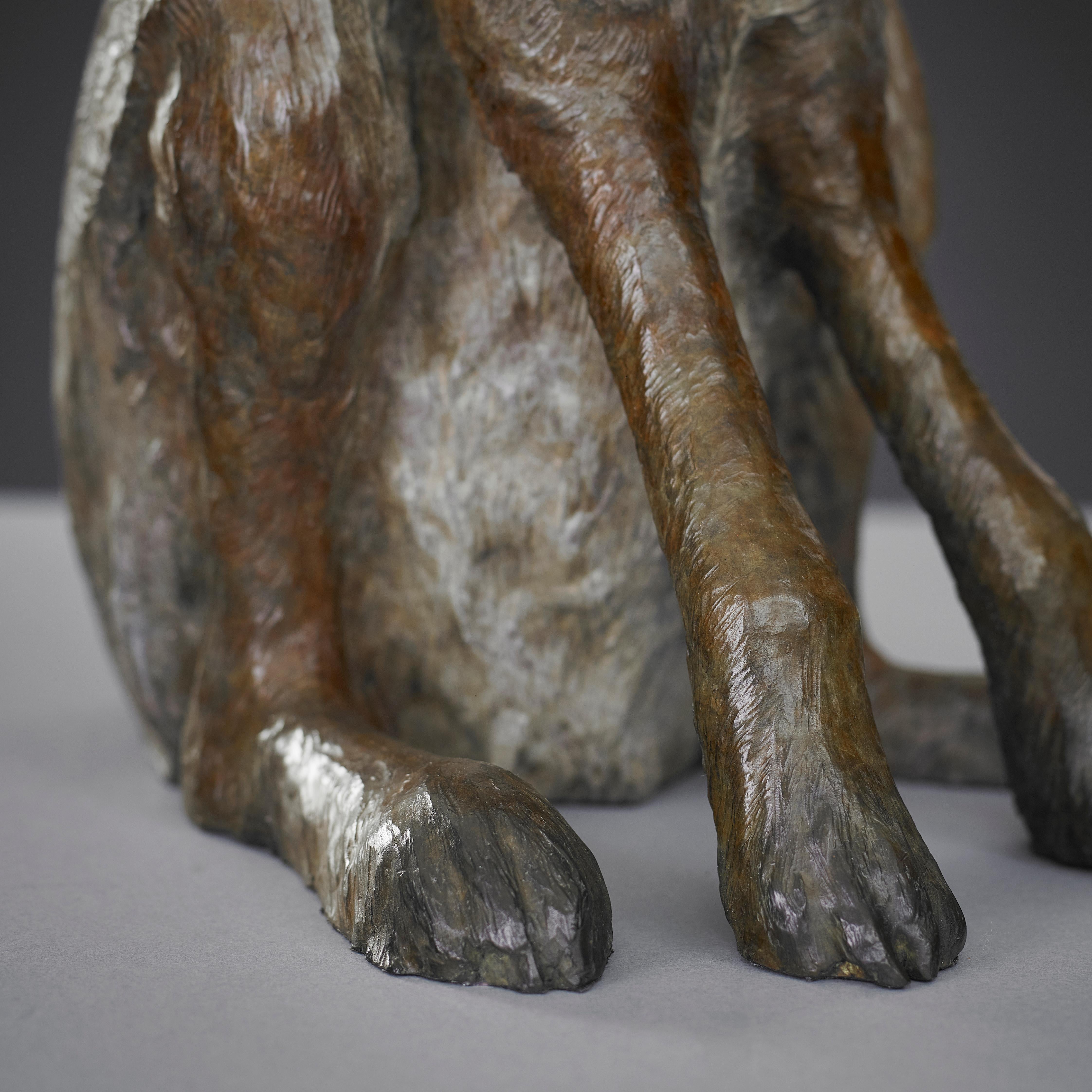Scultura in bronzo contemporanea Sir Humphrey di lepre, coniglio, animali selvatici - Still-Life Sculpture Oro di Tobias Martin