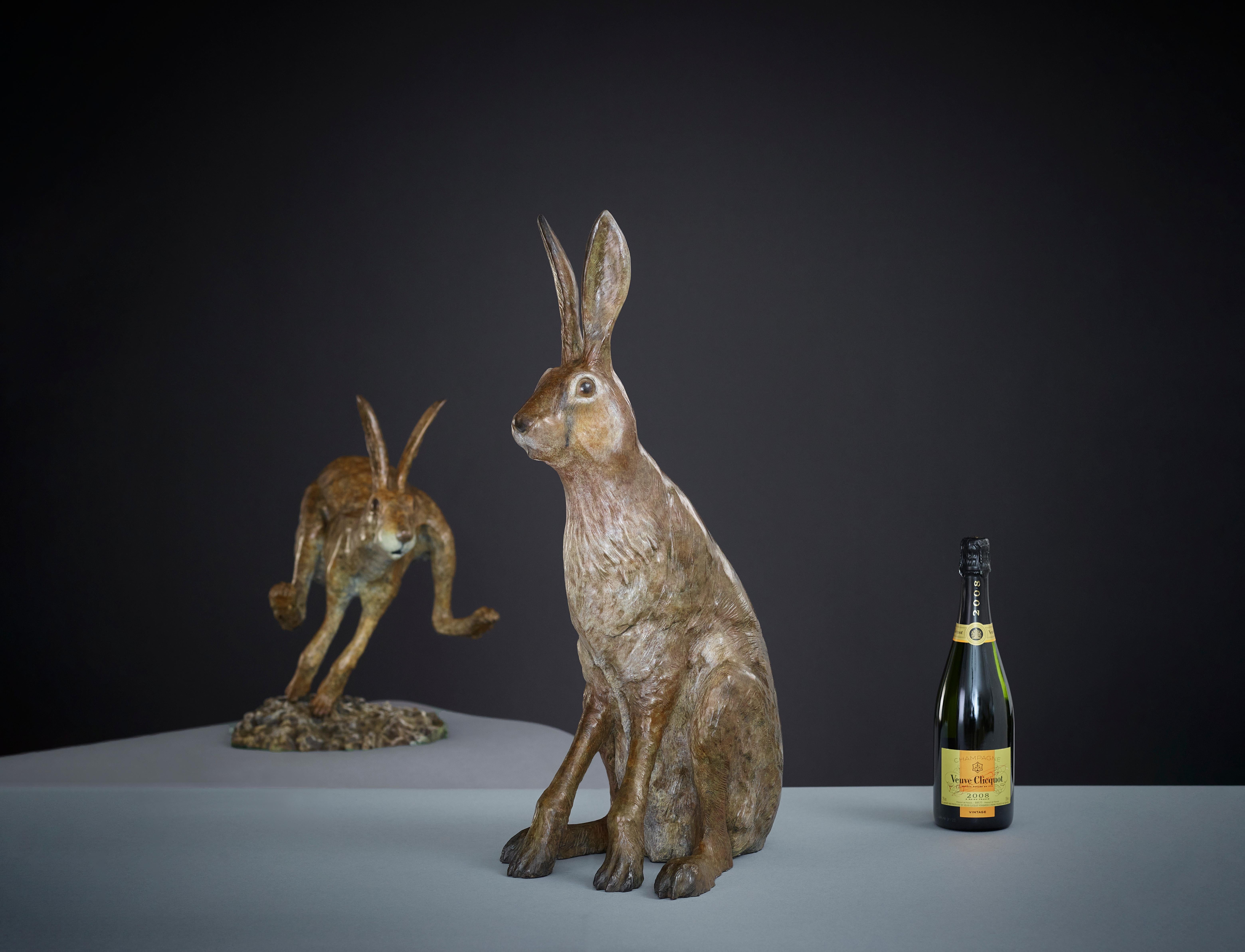 Scultura in bronzo contemporanea Sir Humphrey di lepre, coniglio, animali selvatici in vendita 1