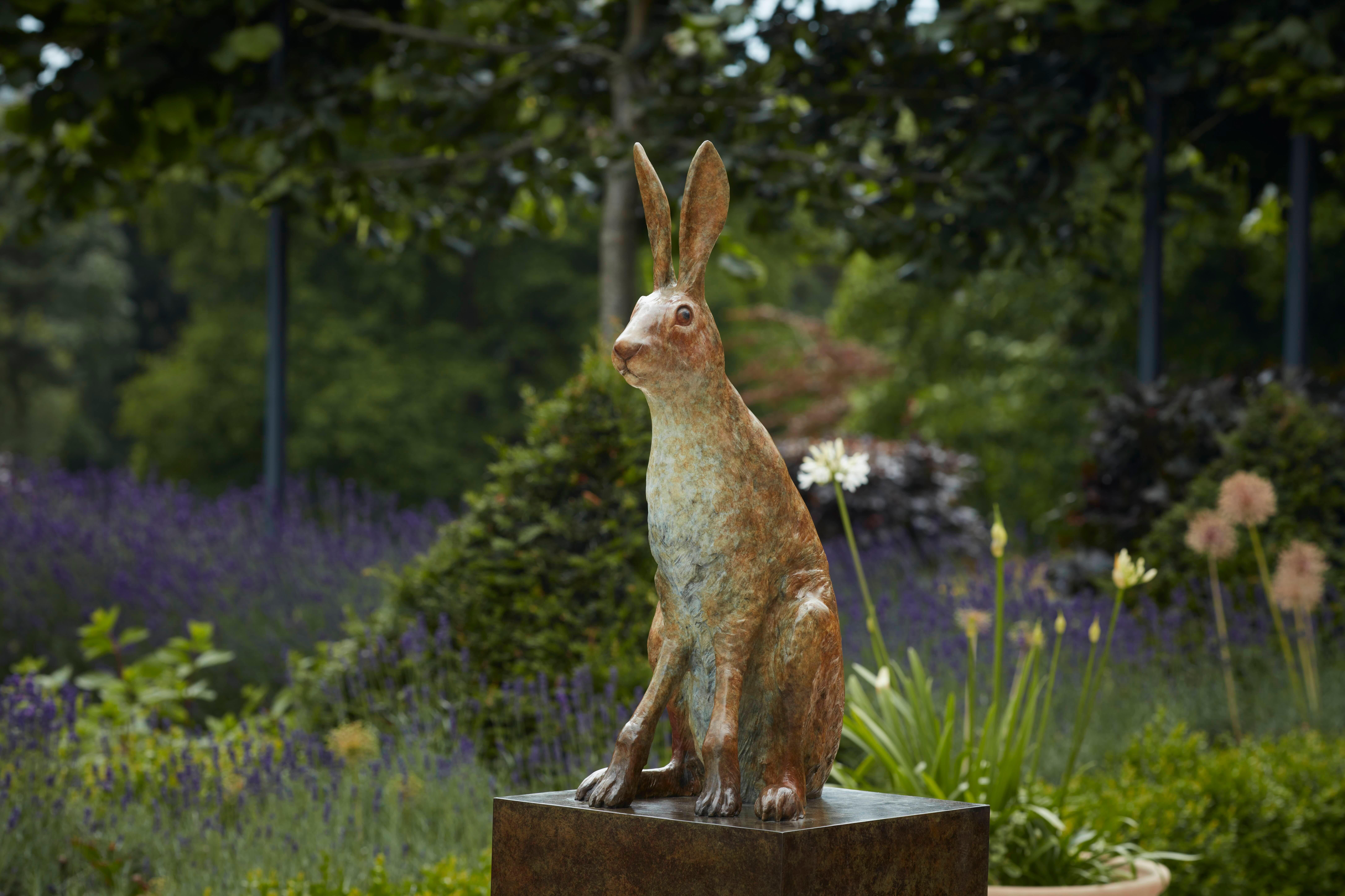 Scultura in bronzo contemporanea Sir Humphrey di lepre, coniglio, animali selvatici in vendita 2