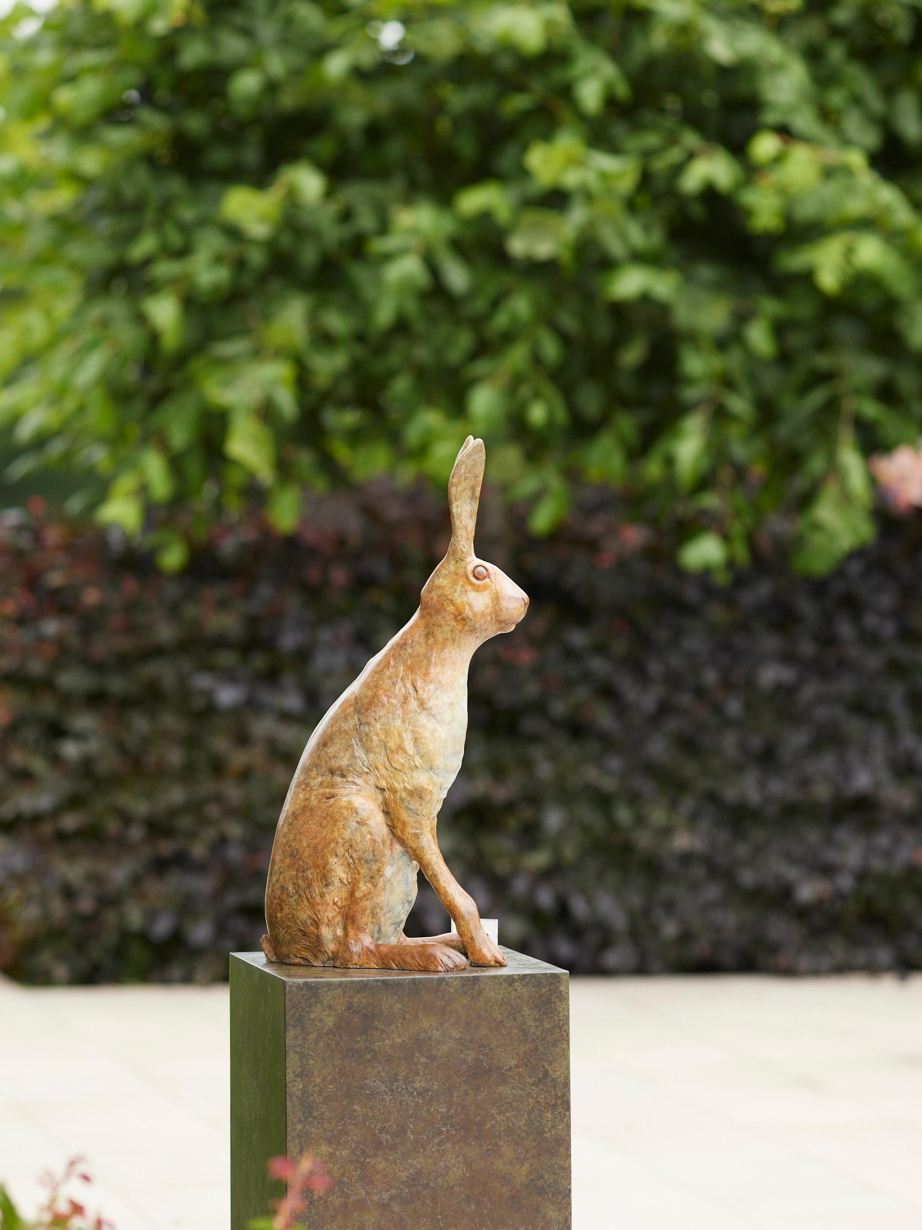 Scultura in bronzo contemporanea Sir Humphrey di lepre, coniglio, animali selvatici in vendita 3