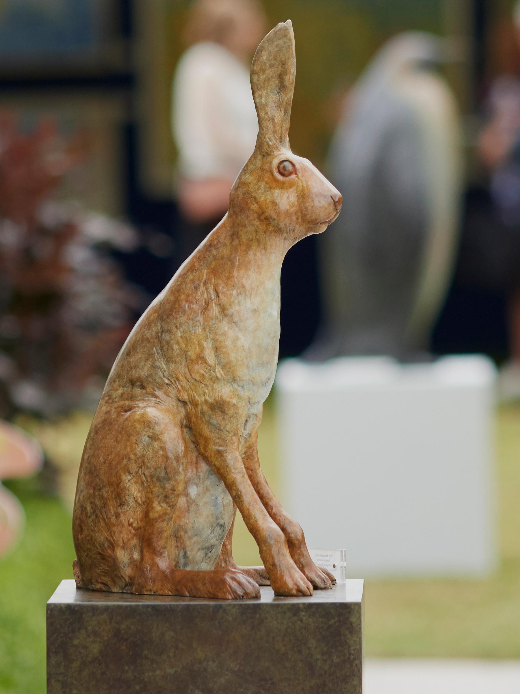 Scultura in bronzo contemporanea Sir Humphrey di lepre, coniglio, animali selvatici in vendita 4