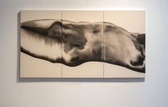 Nuevos Animales X (Triptych)