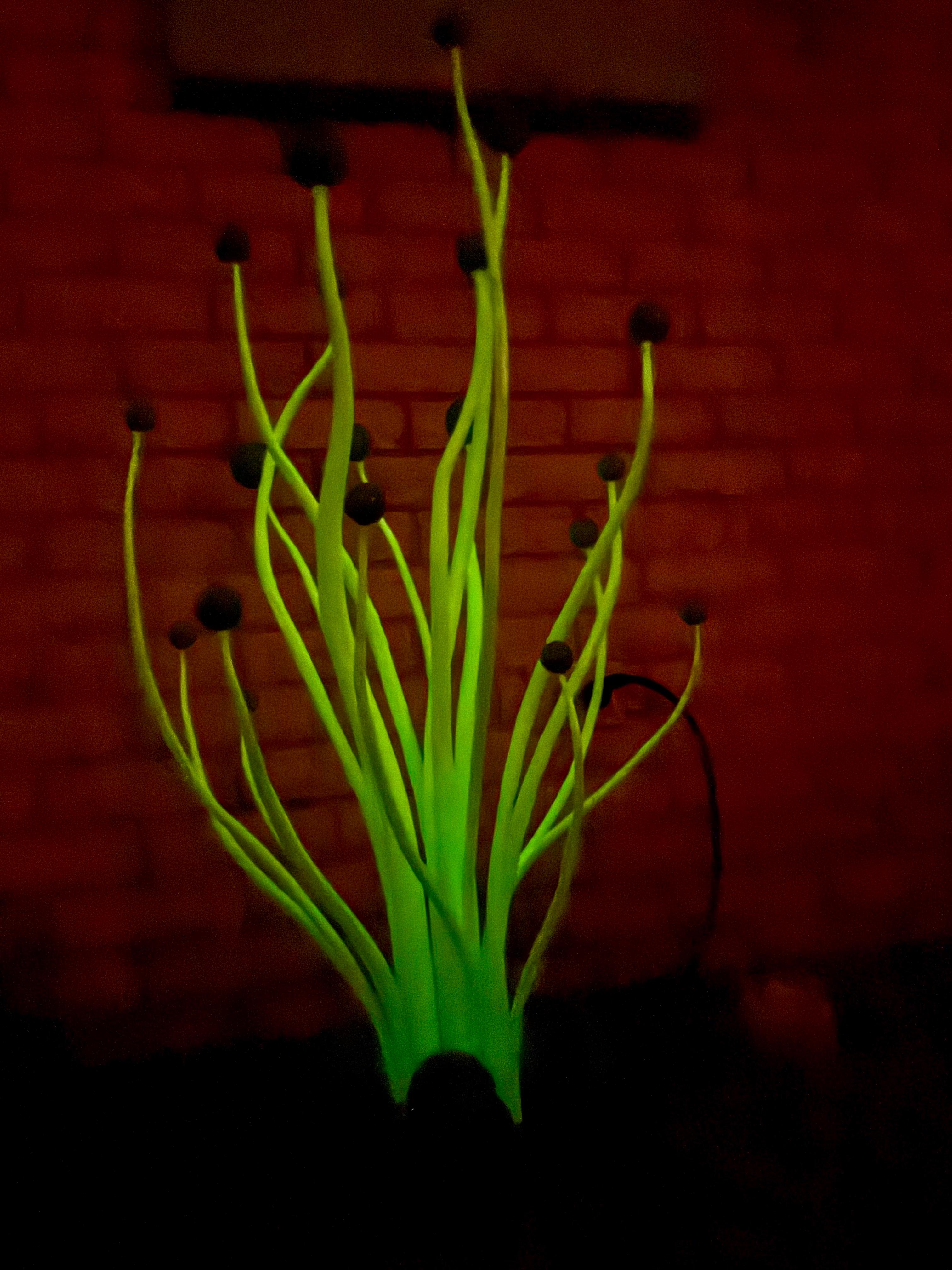 Ball and Ball, verde fluorescente e turchese, scultura contemporanea in acciaio surreale in vendita 1