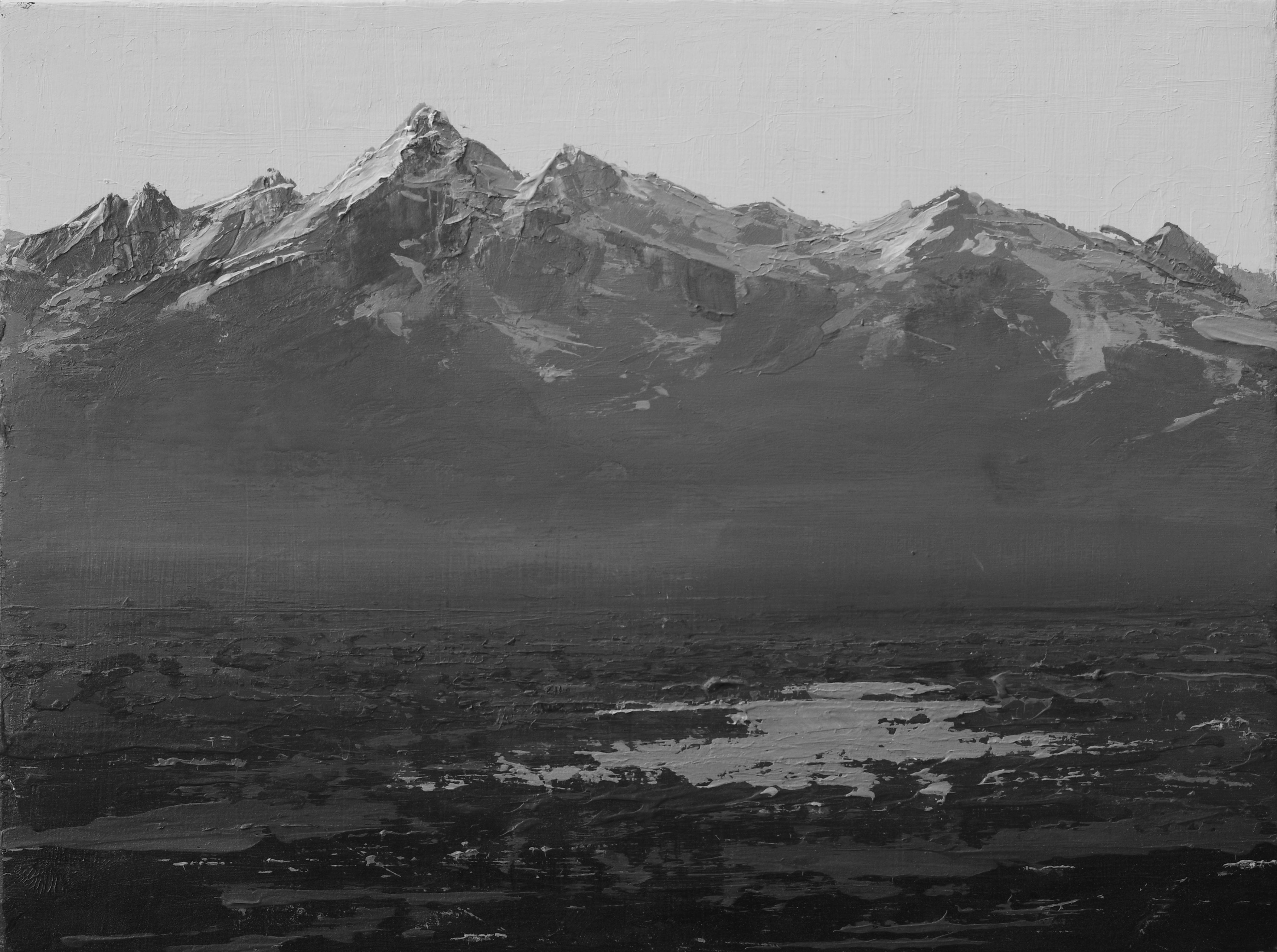Above Plain", de Todd Carpenter (EEUU), es un óleo que representa un paisaje montañoso en blanco y negro.

Biografía/declaración del artista:

Todd Carpenter es un artista afincado en Los Ángeles que utiliza pintura en blanco y negro para explorar