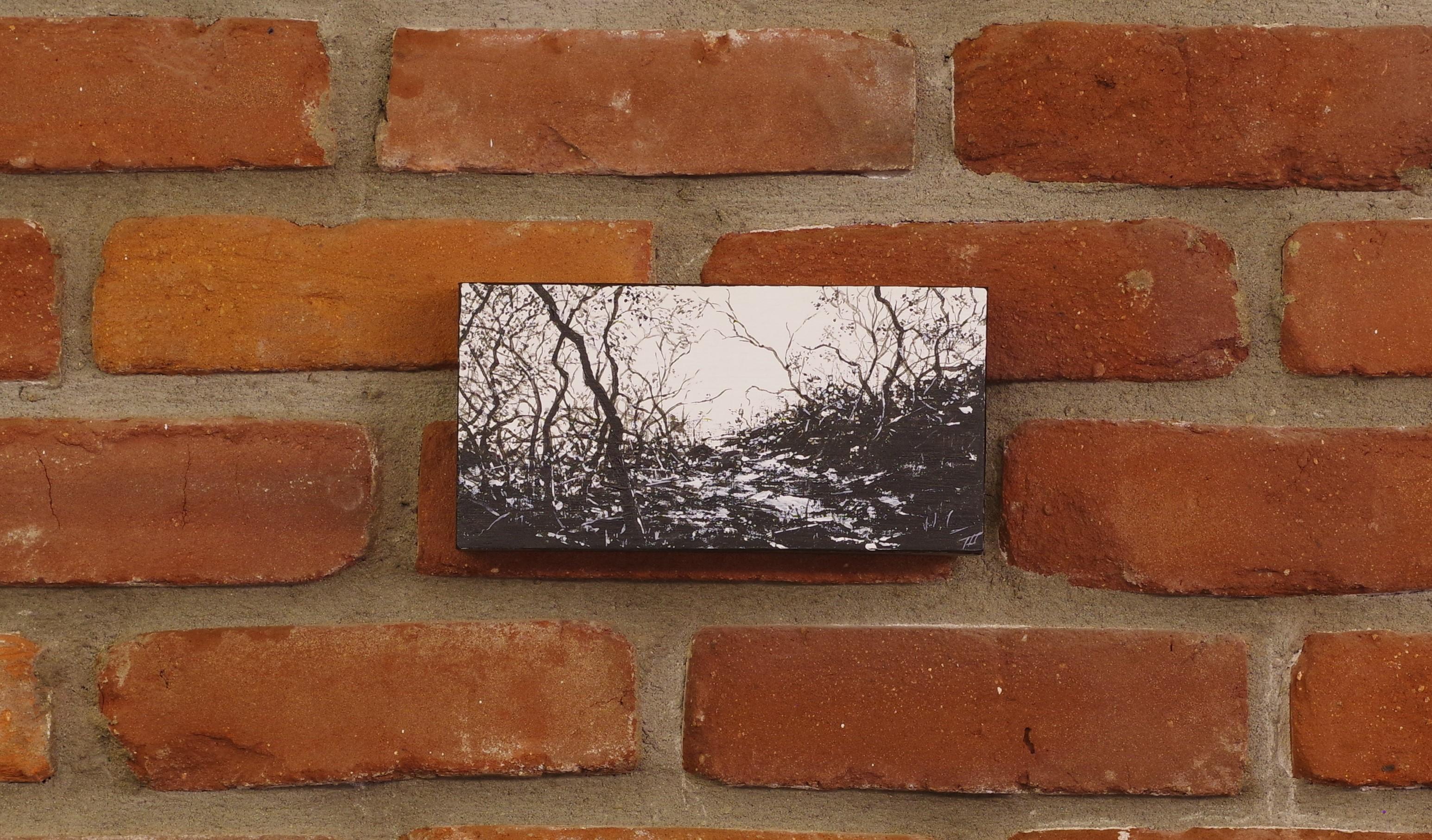 „Fractal“ von Todd Carpenter, Original-Acrylgemälde, Schwarz-Weiß-Landschaft im Angebot 1
