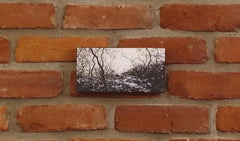 "Fractal" by Todd Carpenter, Original Acrylic Painting, Black & White Landscape