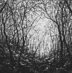 "Inaccessibile" di Todd Carpenter, Pittura originale, Paesaggio in bianco e nero