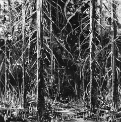 "Starkness" di Todd Carpenter, Pittura originale, Paesaggio in bianco e nero