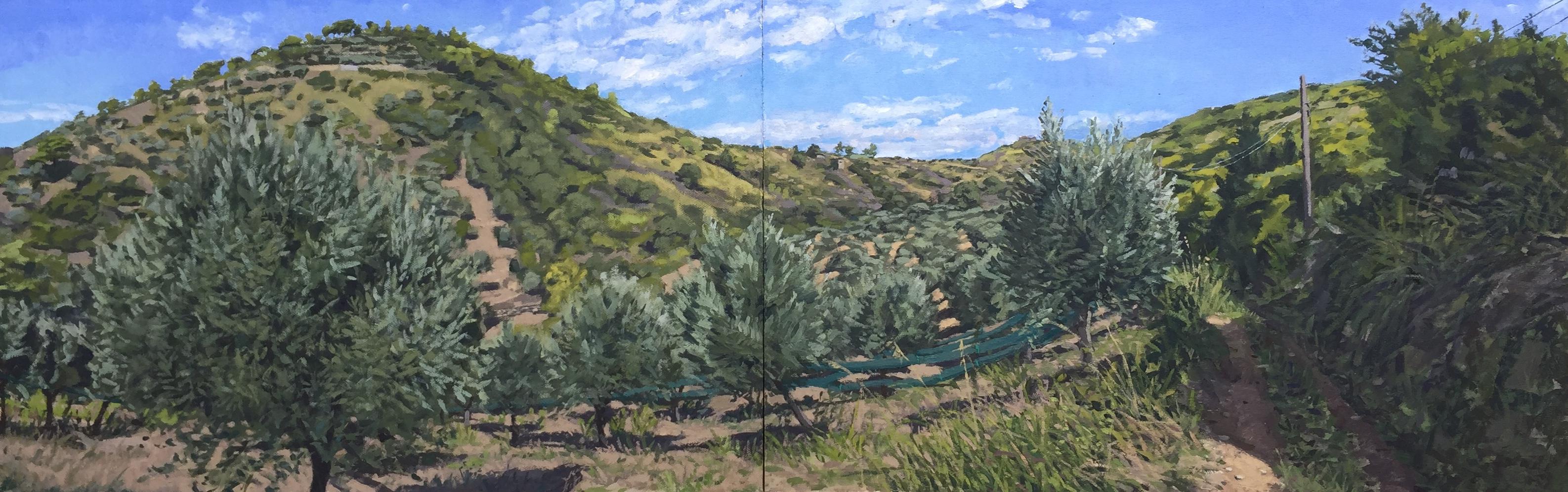 Todd Gordon Landscape Painting - Valley of Olive Trees, Santa Maria di Castellbate 