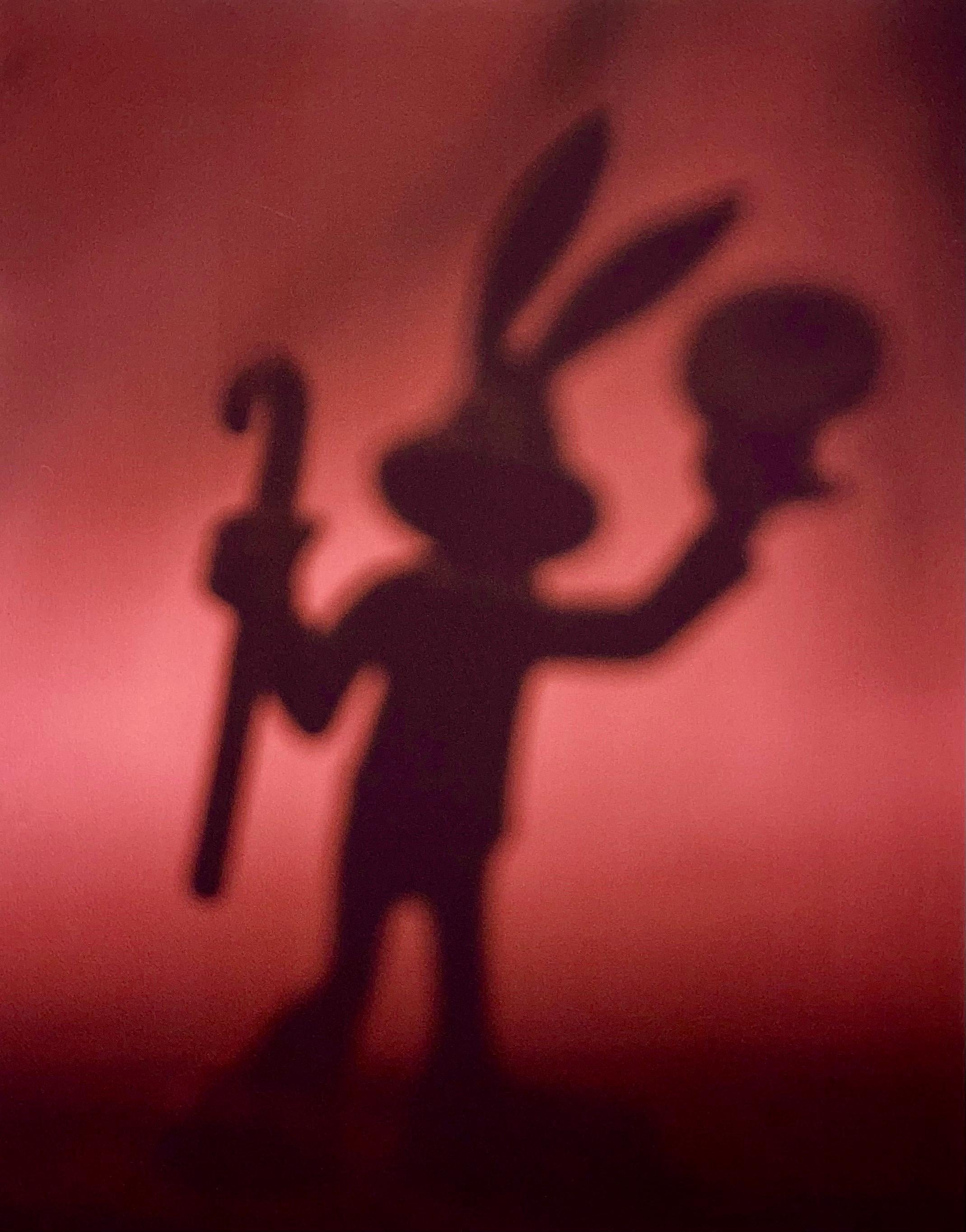 Farb Iris Fotodruck Konzeptueller Cartoon Spielzeug Käfer Bunny Fotografie Todd Gray im Angebot 2