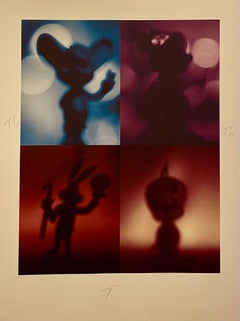 Color Iris Photo Print Conceptual Shadow Cartoons Polyptych Photograph Todd Gray