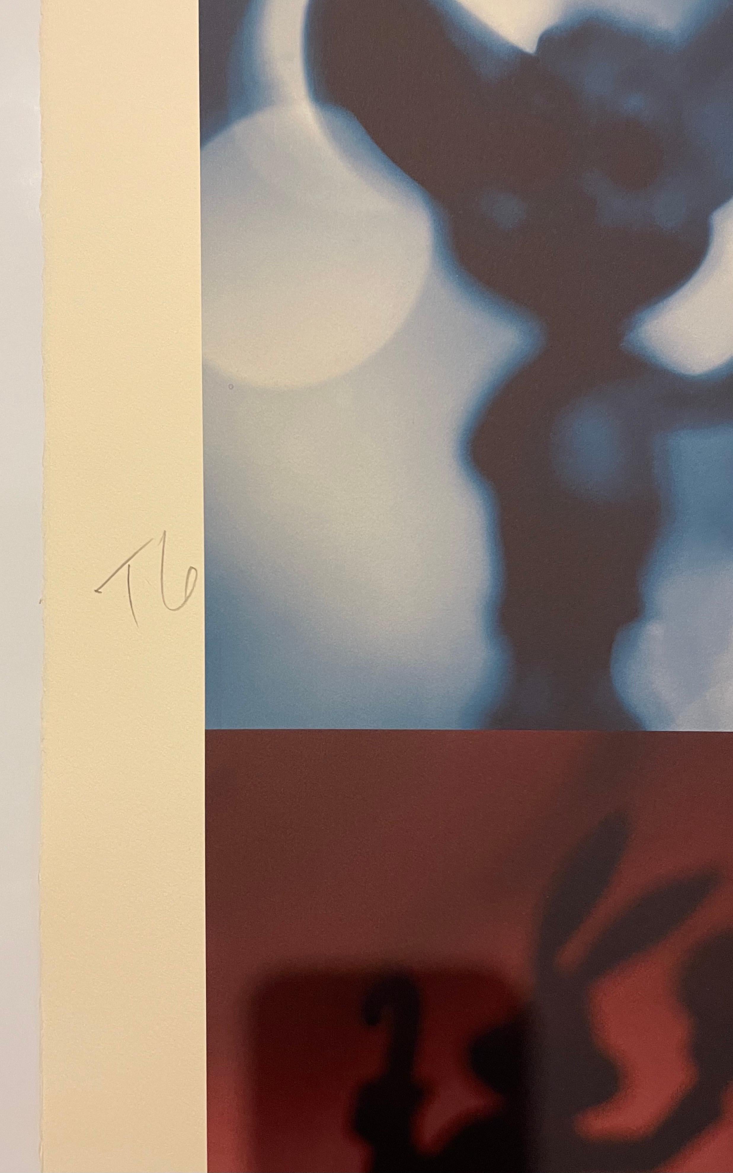 Stampa fotografica a colori su iride Polittico concettuale di cartoni animati Todd Gray in vendita 5