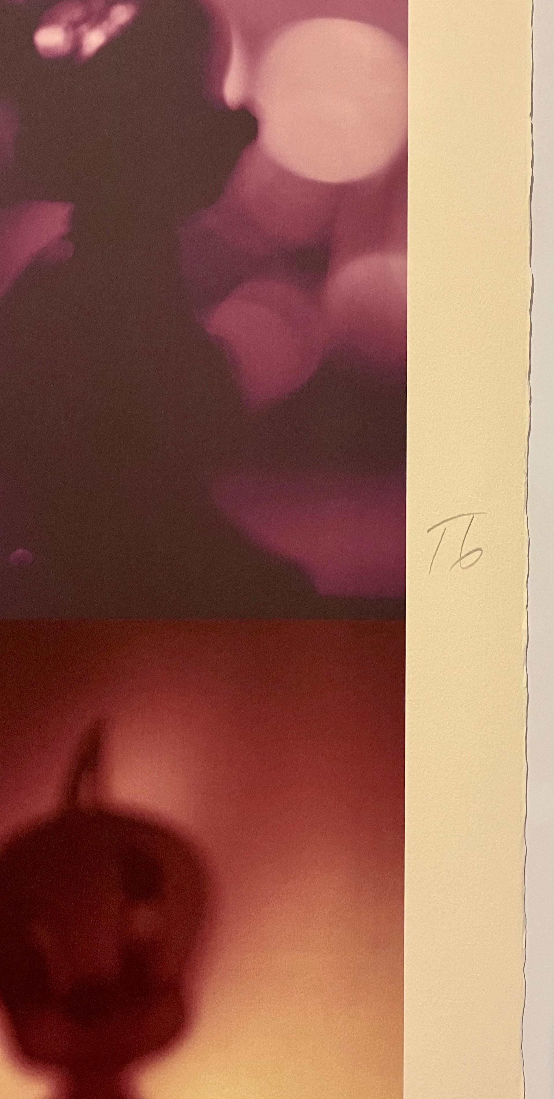 Stampa fotografica a colori su iride Polittico concettuale di cartoni animati Todd Gray in vendita 6