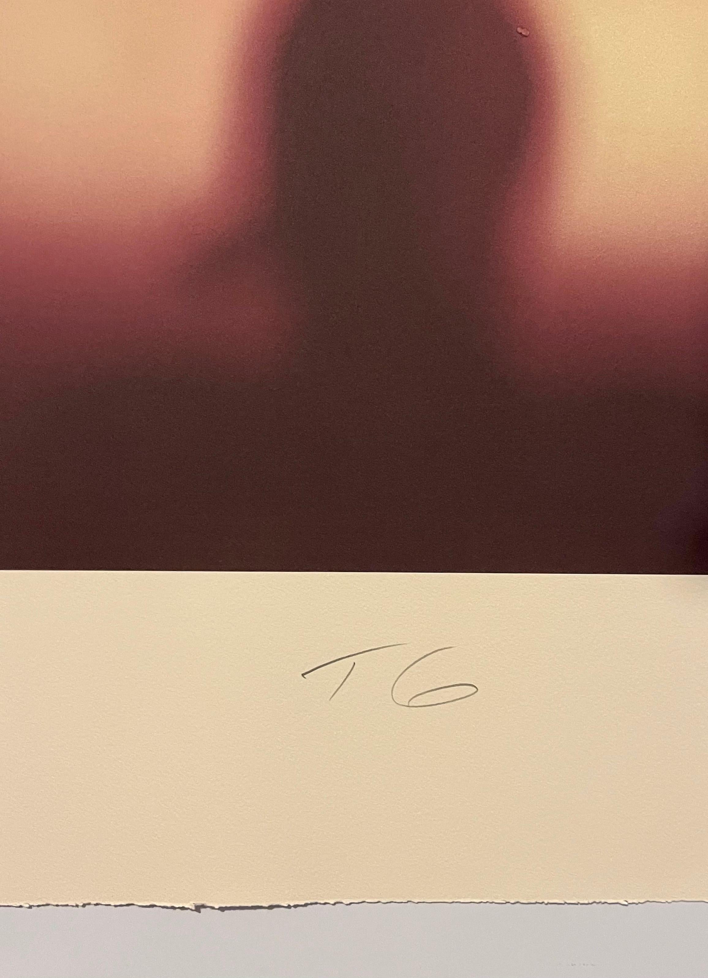 Impresión fotográfica Iris en color Fotografía conceptual de dibujos animados de Piolín Todd Gray en venta 2