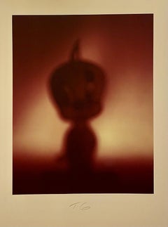 Farbfarbe Iris Fotodruck Konzeptueller Tweety Vogel Cartoon-Kunstfotografie Todd Gray