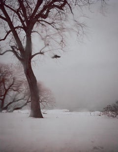 #10192, 2011 - Todd Hido (Colour Photography)